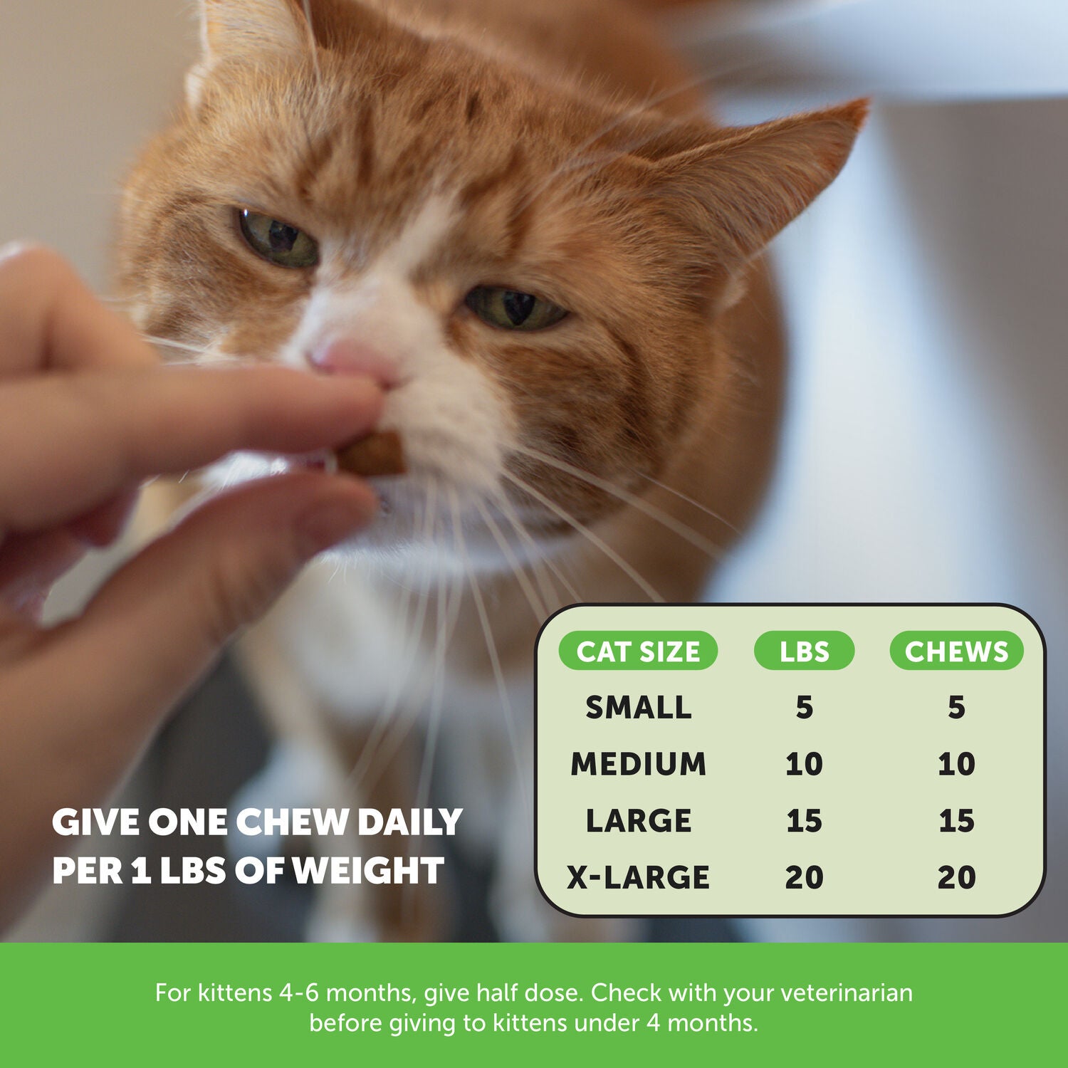 Pet Honesty Dual Texture Hairball Support Chicken Flavored Chews Digestive Support Cat Supplement, 3.7-Oz Pouch