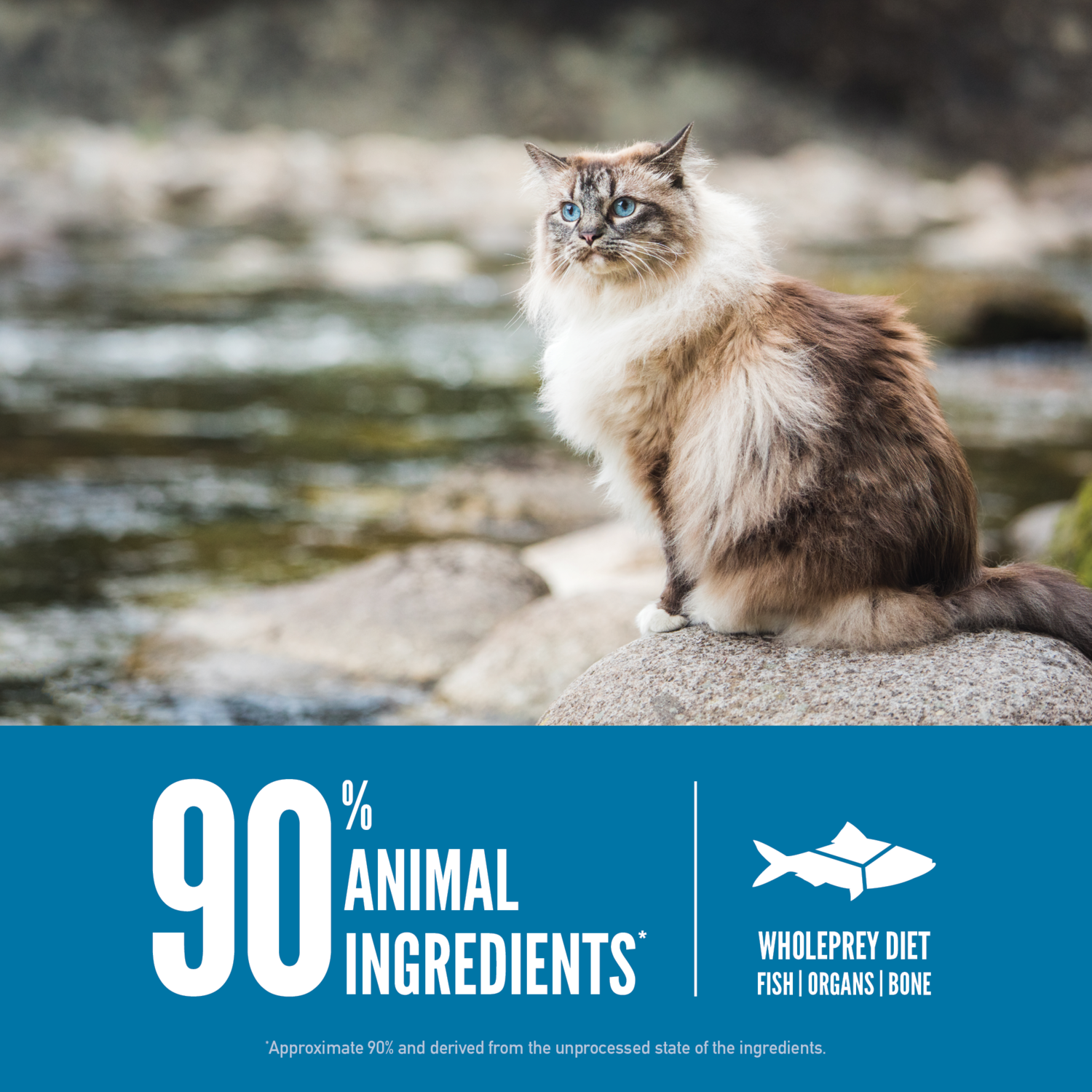 Orijen Grain-Free High Protein Premium Dry Cat Food, Six Fish Recipe, 4-Lb Bag