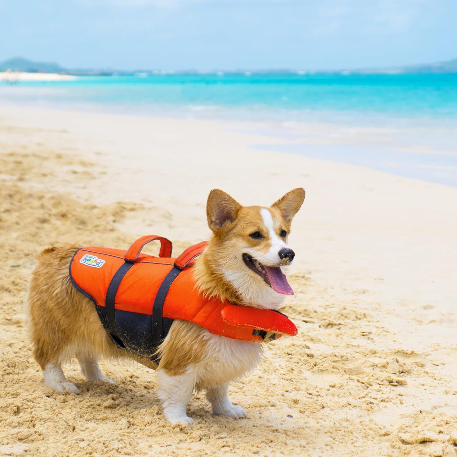 Outward Hound Granby Ripstop Dog Life Jacket, Orange