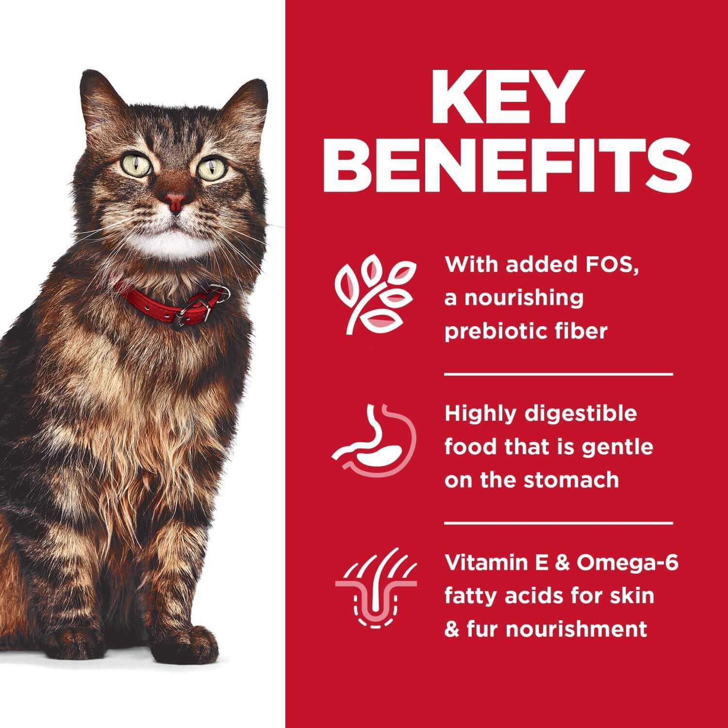 Hill's Science Diet Adult Sensitive Stomach & Skin Salmon & Tuna Dinner Wet Cat Food