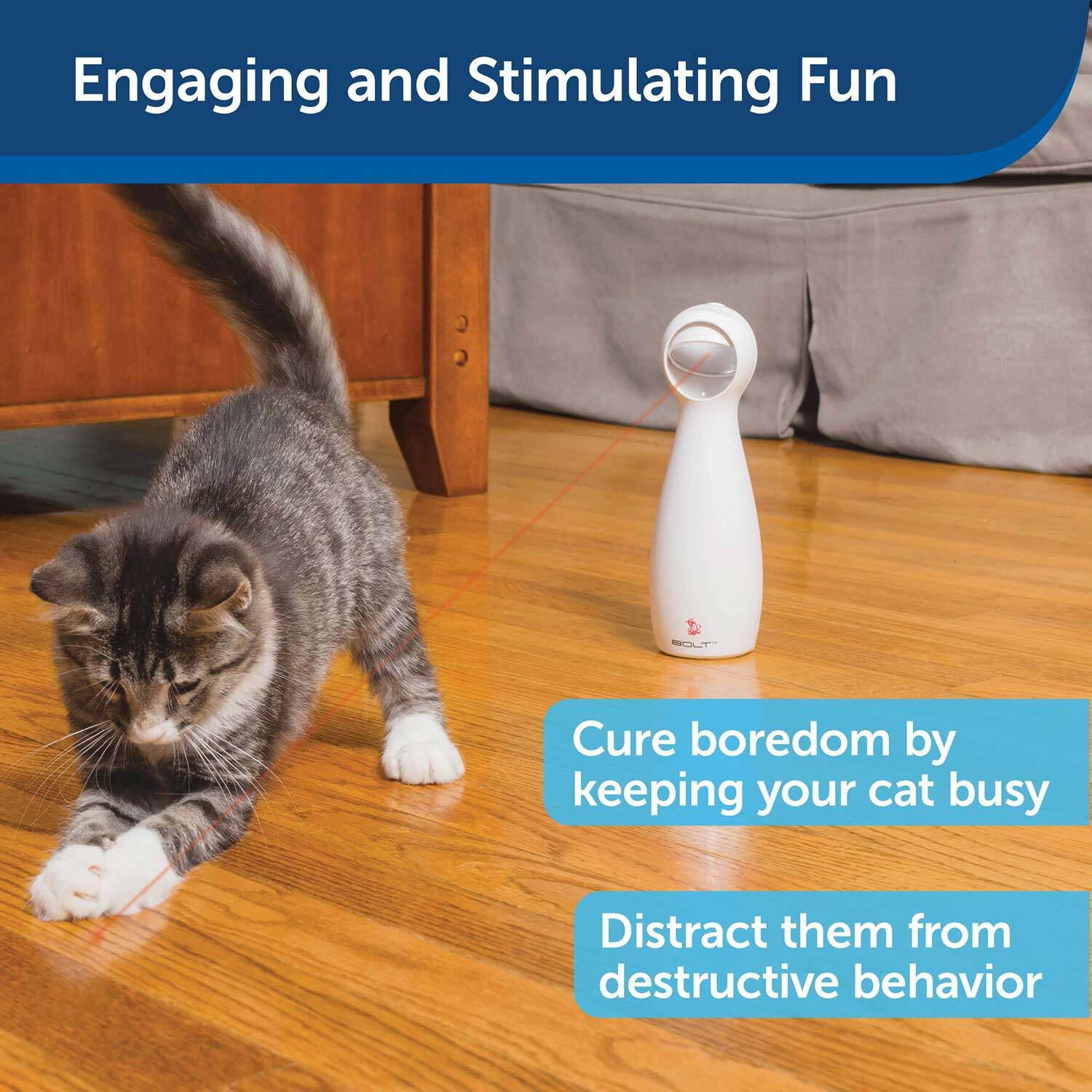 Petsafe Bolt Automatic Interactive Laser Light Cat Toy