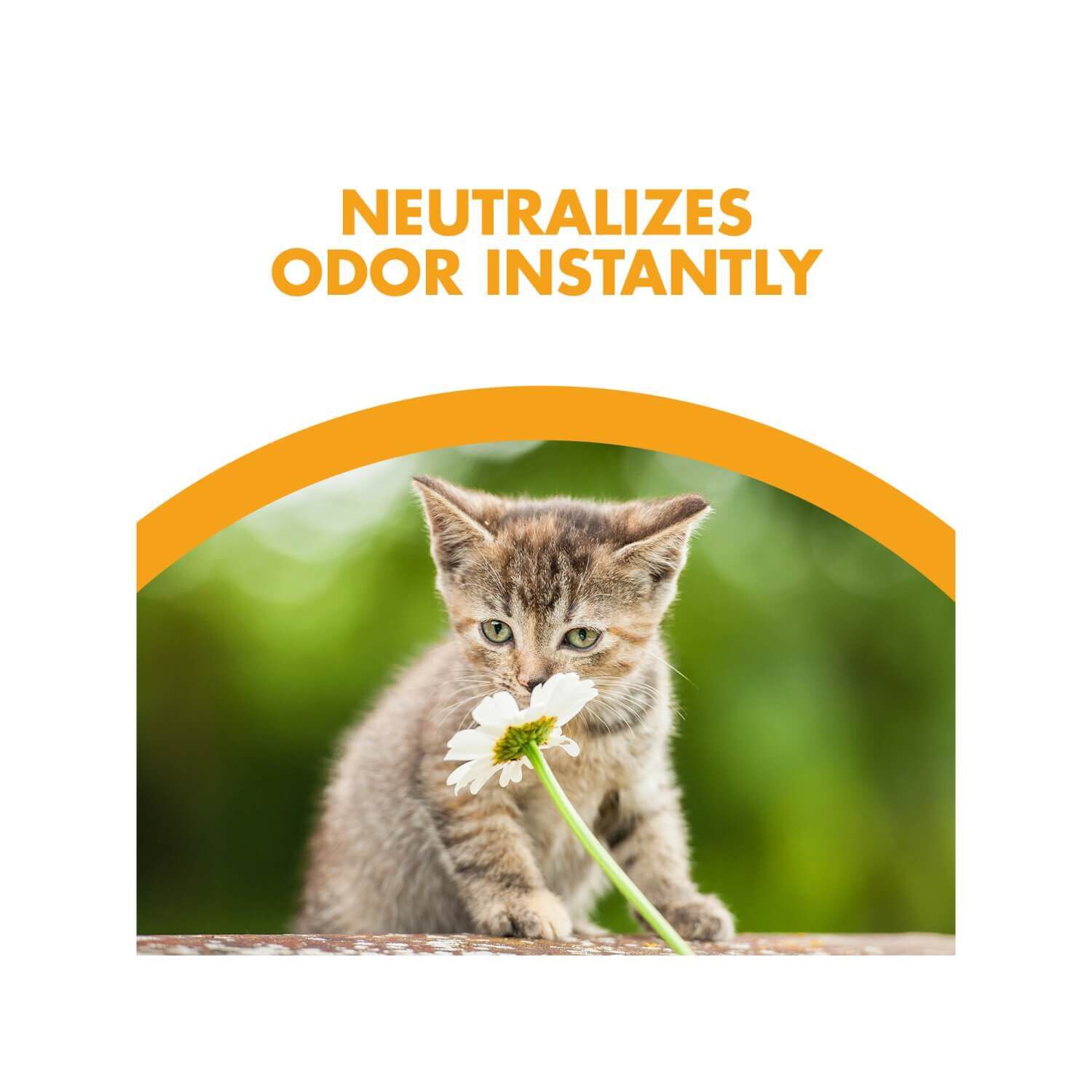 Arm Hammer Feline Pine Original Non-Clumping Natural Cat Litter