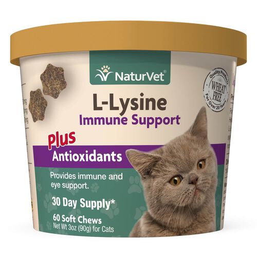 L Lysine Immune Support Plus Antioxidants Cat Supplement