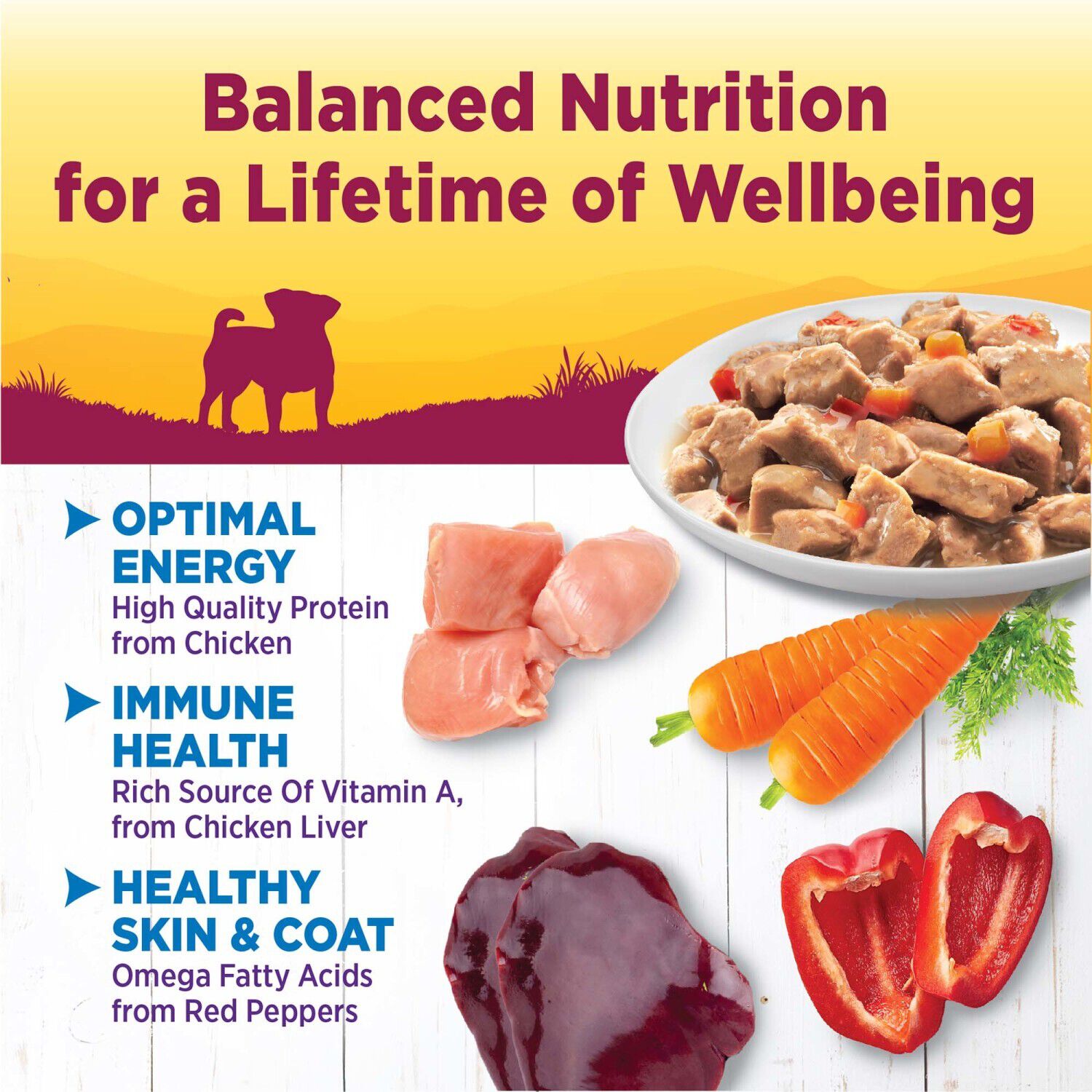 Wellness Petite Entr&eacute;es Mini-Filets Small Breed Wet Dog Food With Roasted Chicken, Carrots & Red Peppers In Gravy, 3-Ounce Cup