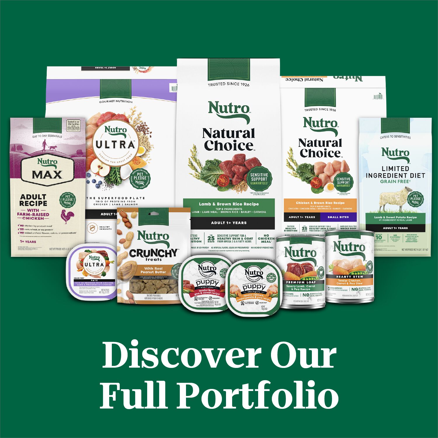 Nutro Natural Choice&nbsp;Lamb & Brown Rice Recipe Dry Dog Food, 5-Lb Bag