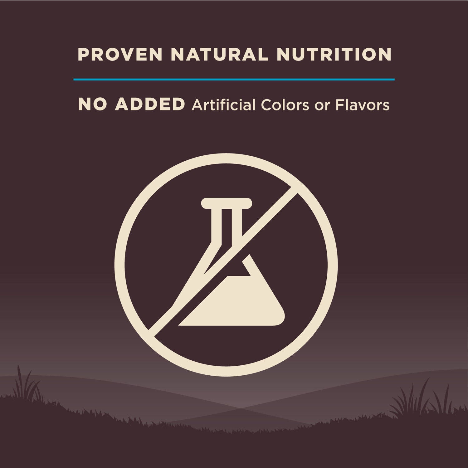 Wellness Core Natural Grain-Free Dry Dog Food, Ocean Whitefish, Herring & Salmon Recipe, 22-Lb