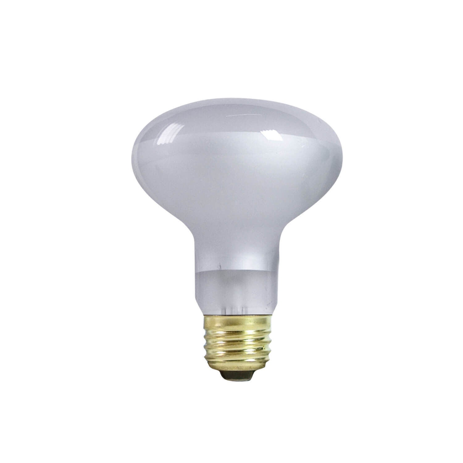 Zilla Day White Incandescent Spot Bulbs - 100 Watts