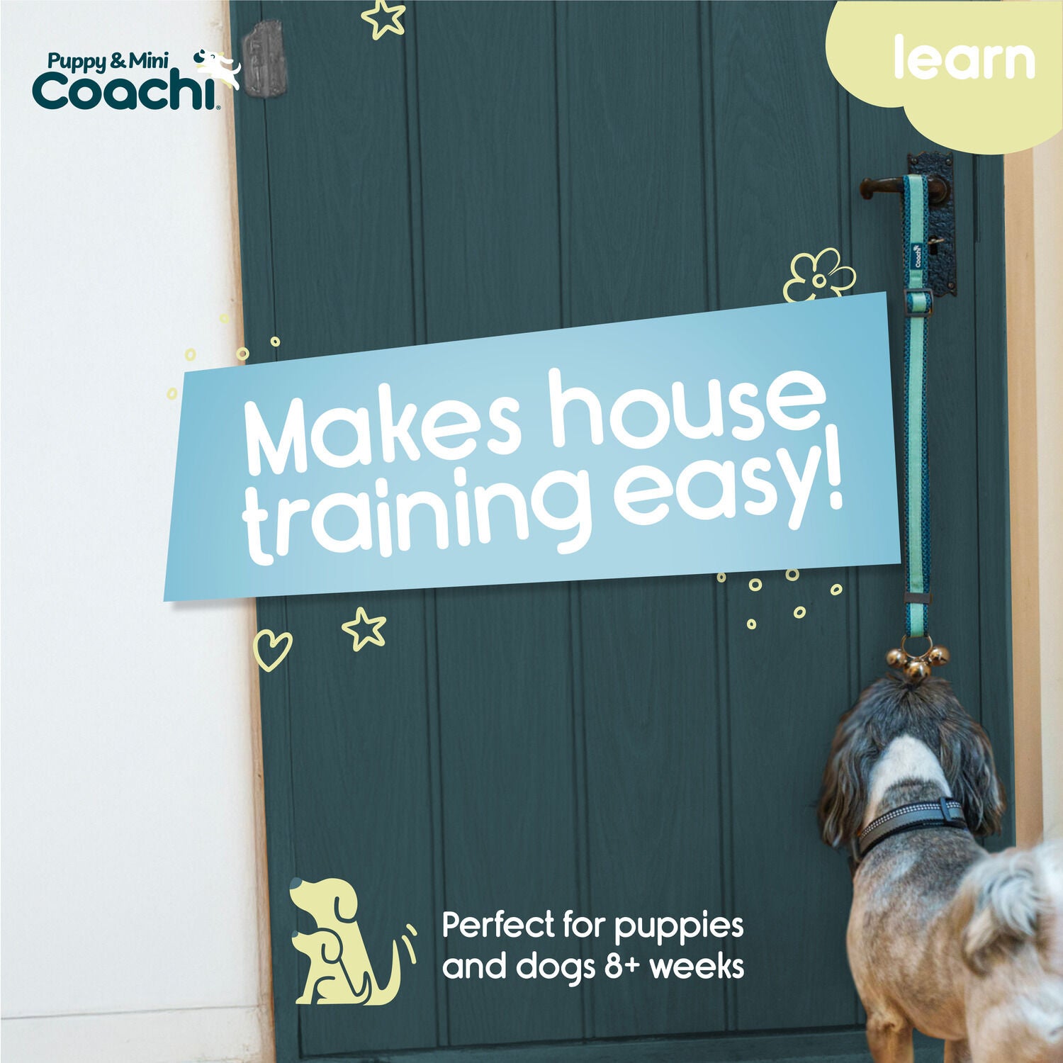 Coachi Puppy & Mini Dog Training Bells, Teal And Mint