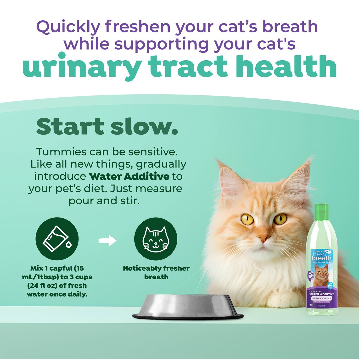 Tropiclean Fresh Breath Urinary Tract Cat Dental Health Water Additive, 16Oz