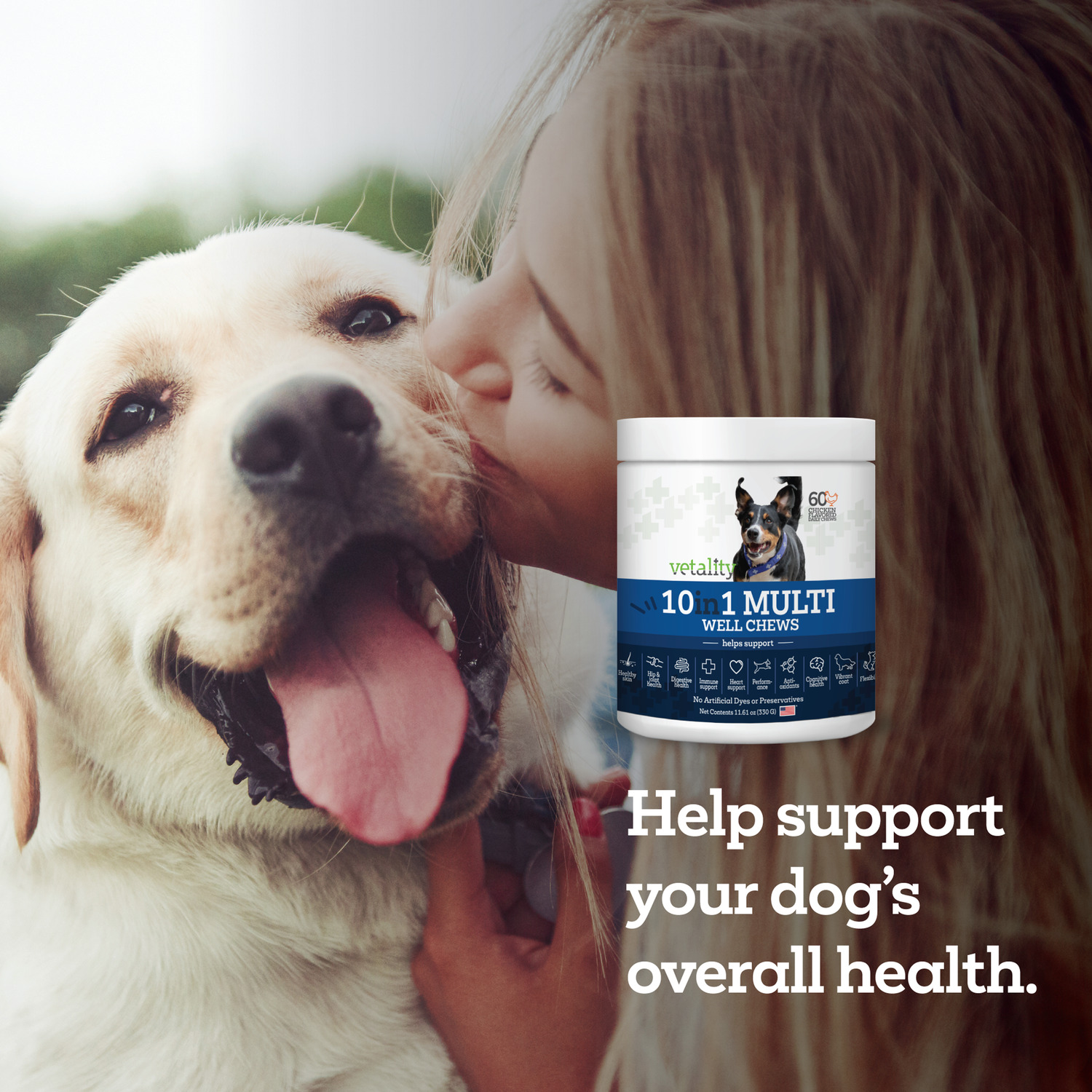 Vetality 10-In-1 Multi Well Chews Dog Supplement, 60-Count