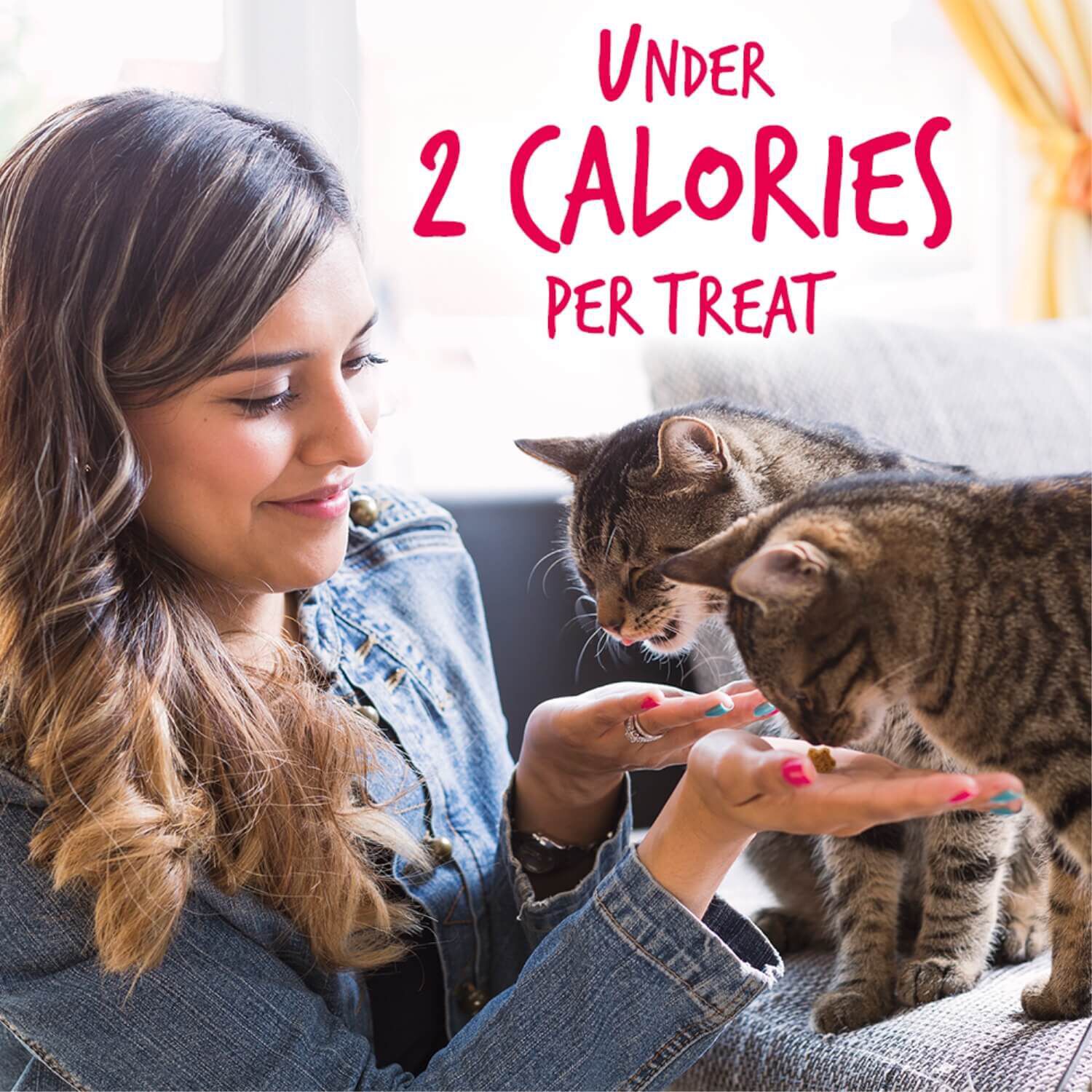 Fruitables Crunchy Salmon Cat Treats