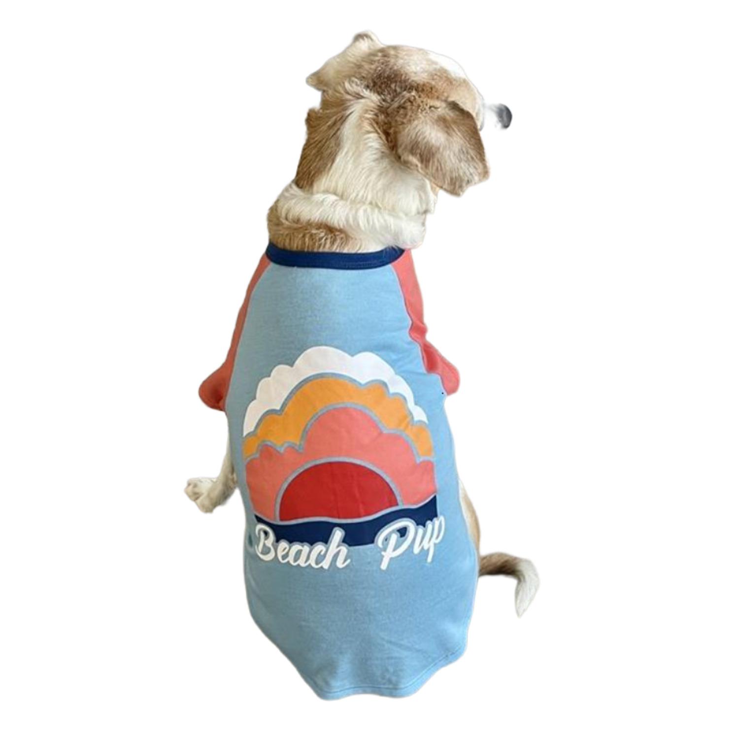 Bailey & Bella Blue Beach Pup Dog T-Shirt & Hat Set, Extra Large