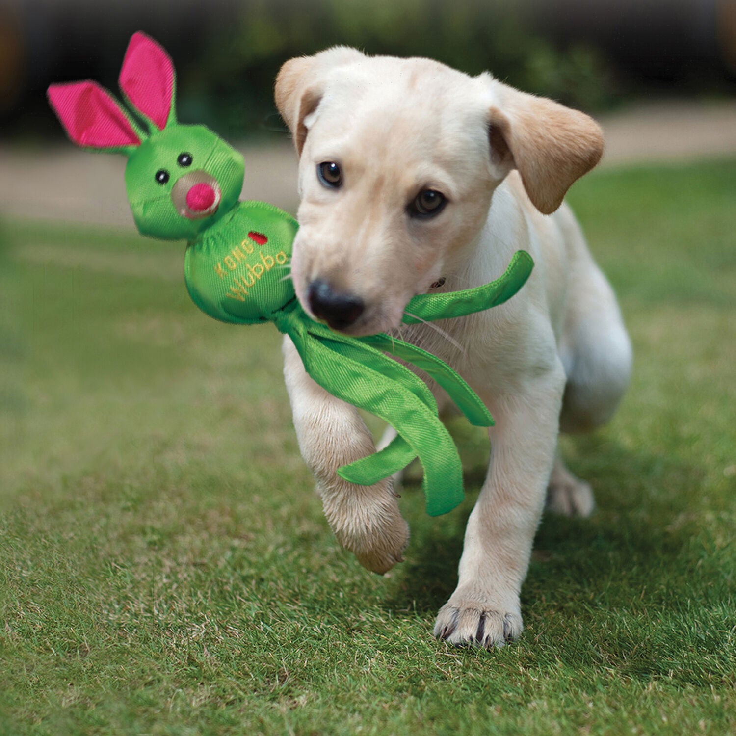 Kong Wubba&trade; Friends Ballistic Squeaky Durable Tug Dog Toy, Assorted Characters, 14"