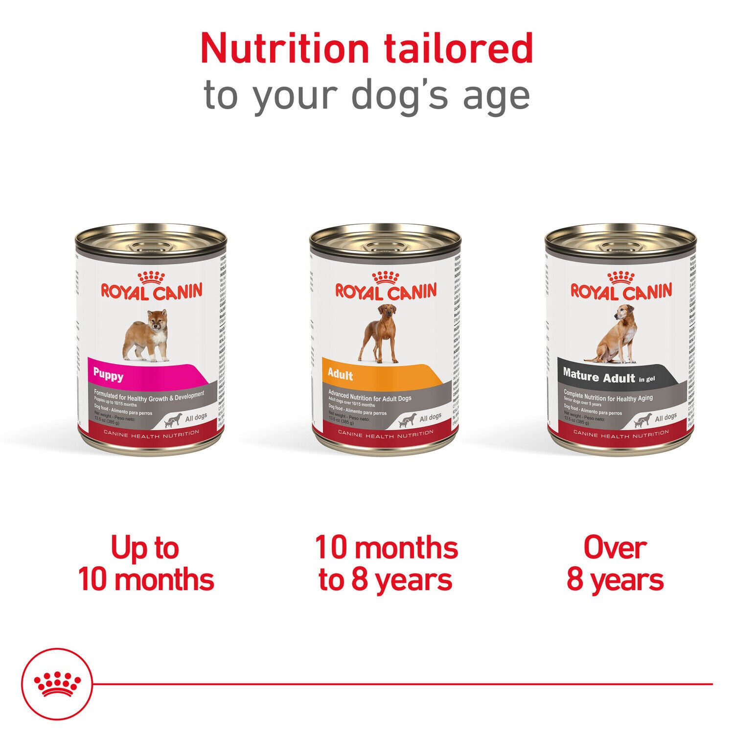 Royal Canin Canine Health Nutrition Mature Adult Formula Wet Dog Food