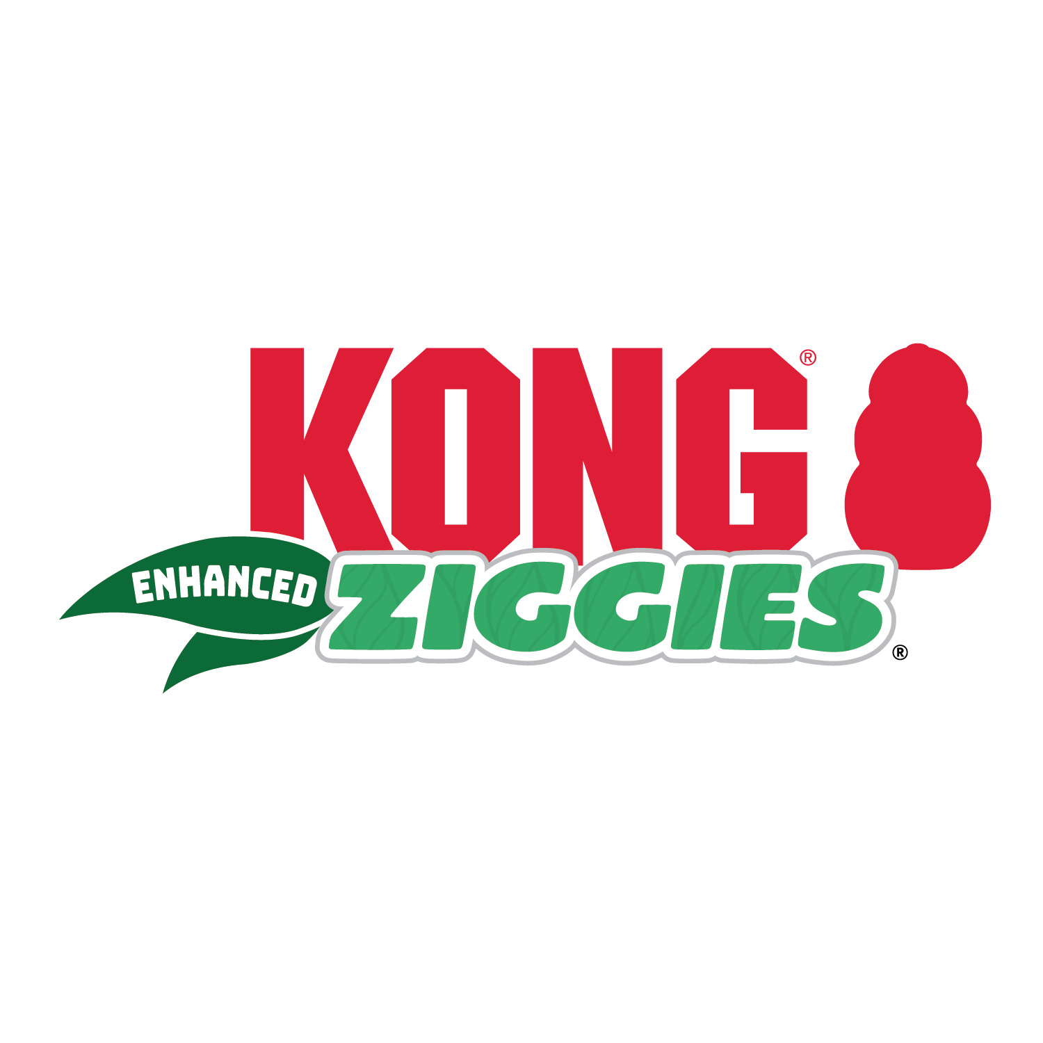 Kong Ziggies Dental Health Medium/Large Sized Dog Treats