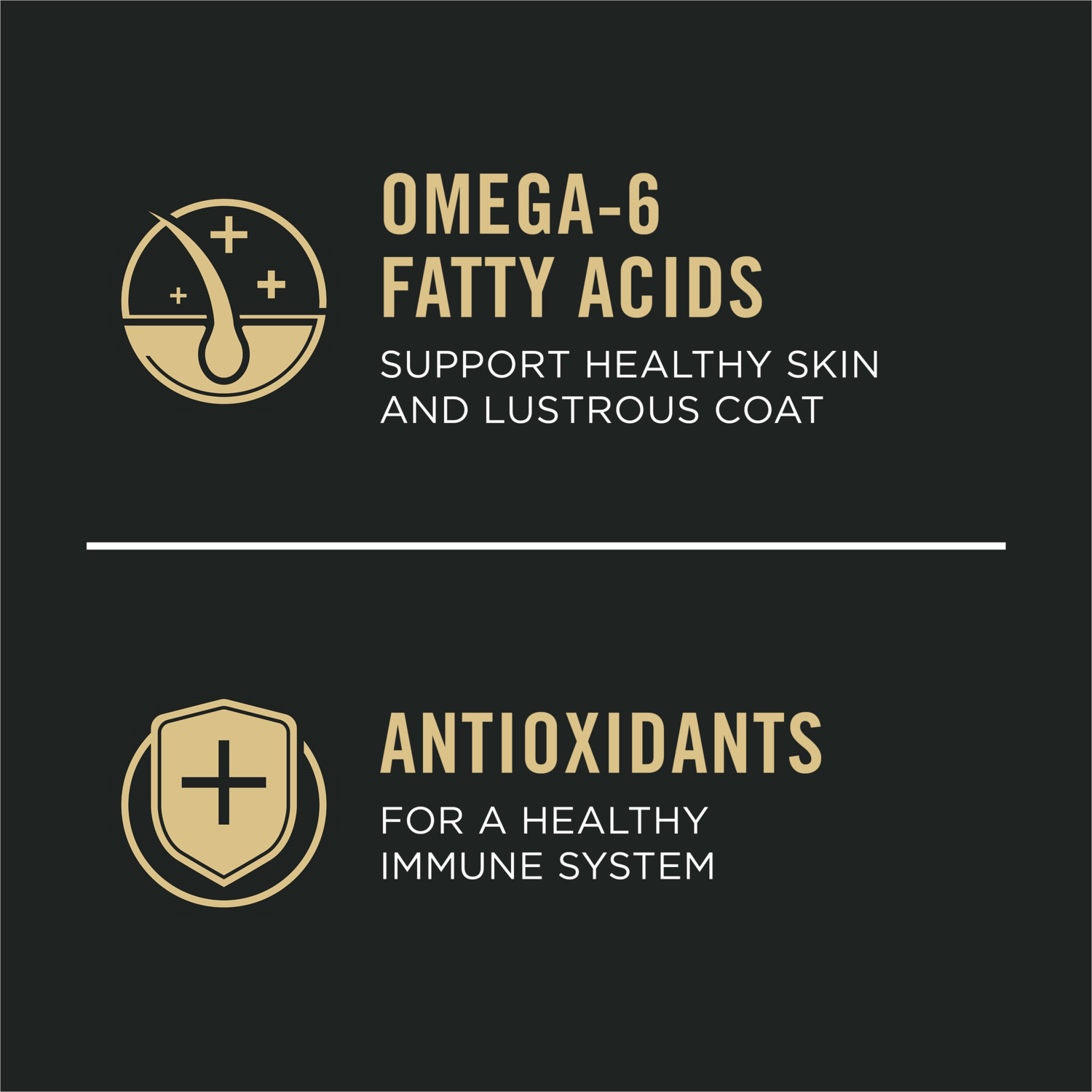 Purina Pro Plan Sensitive Skin And Stomach Salmon And Rice Formula Dry Dog Food, 4Lb