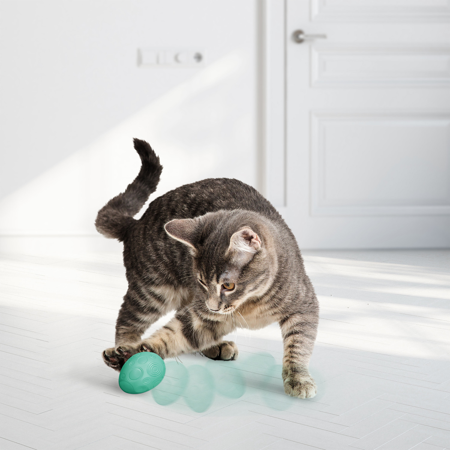 Kong Catnip Infused Egg Interactive Cat Toy, 2-Pack