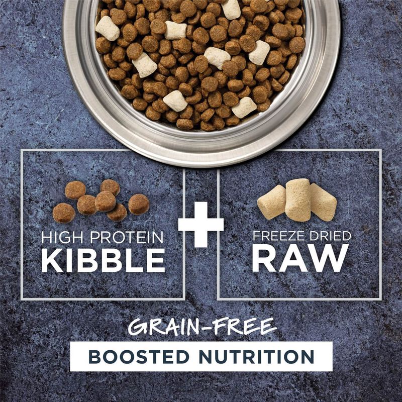 Instinct Raw Boost Grain Free Recipe With Real Salmon Dry Dog Food image number 5