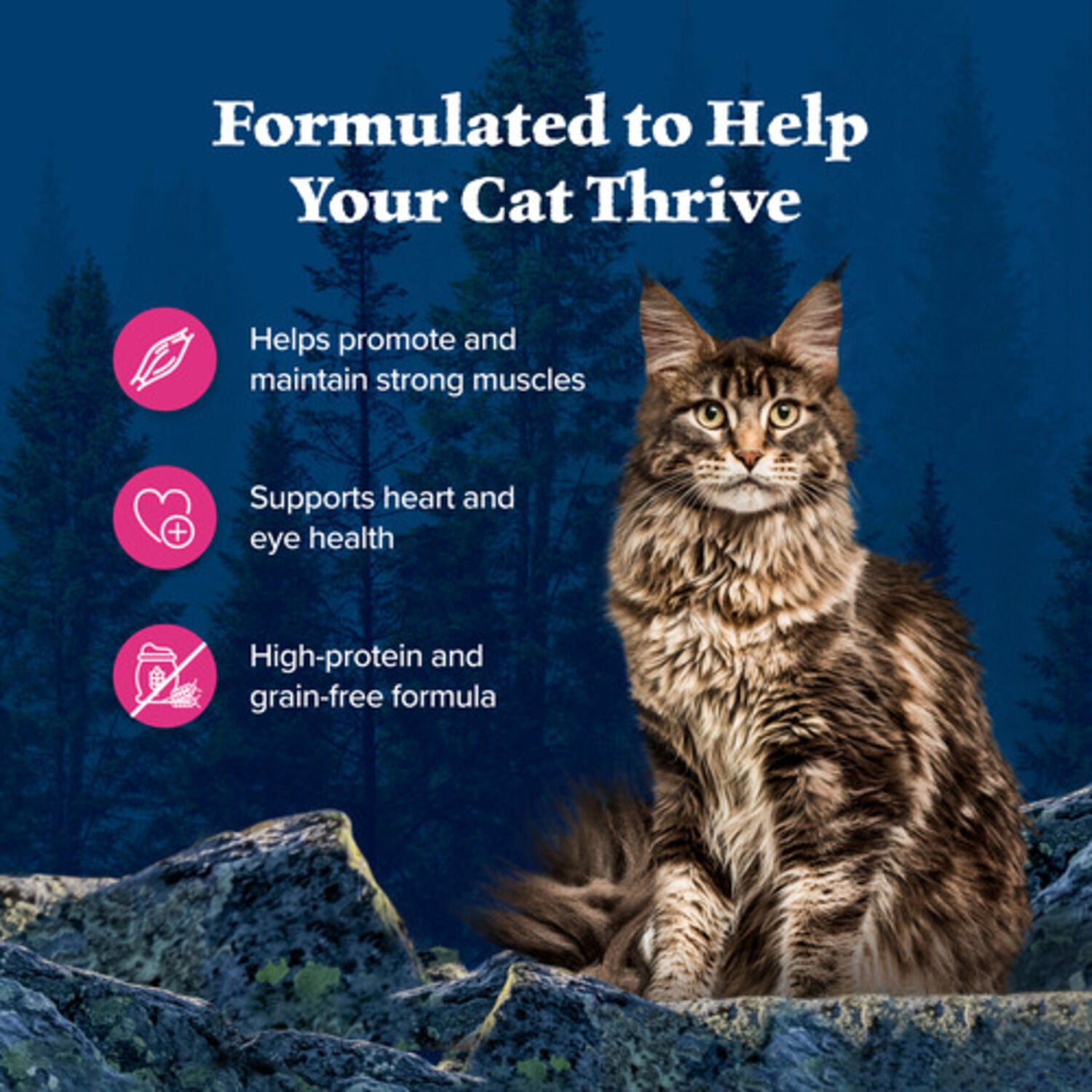 Blue Buffalo Wilderness Wild Delights Adult Wet Cat Food, Chicken & Salmon Meaty Morsels, 3-Oz