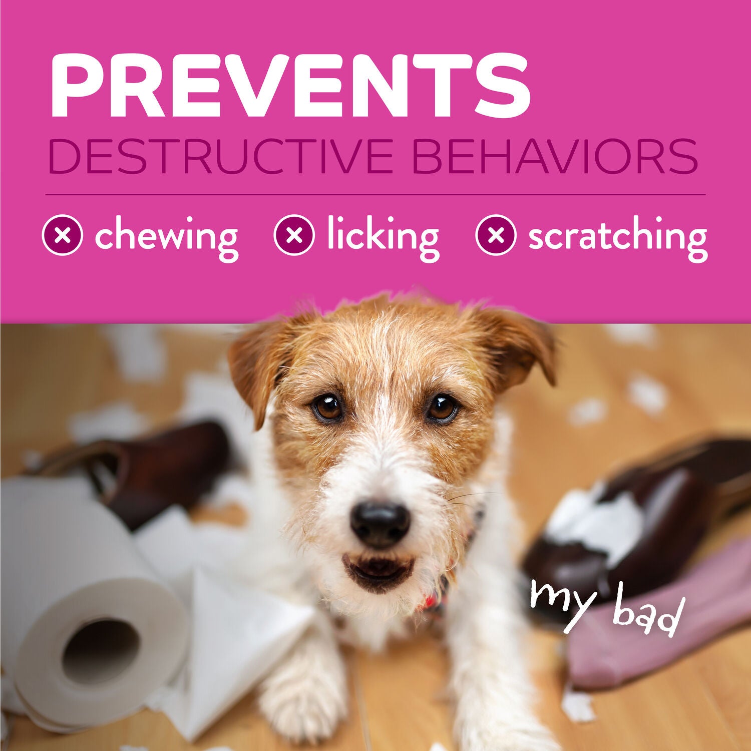 Tropiclean Chew Stop Behavior Aid Dog & Home Spray, 8Oz