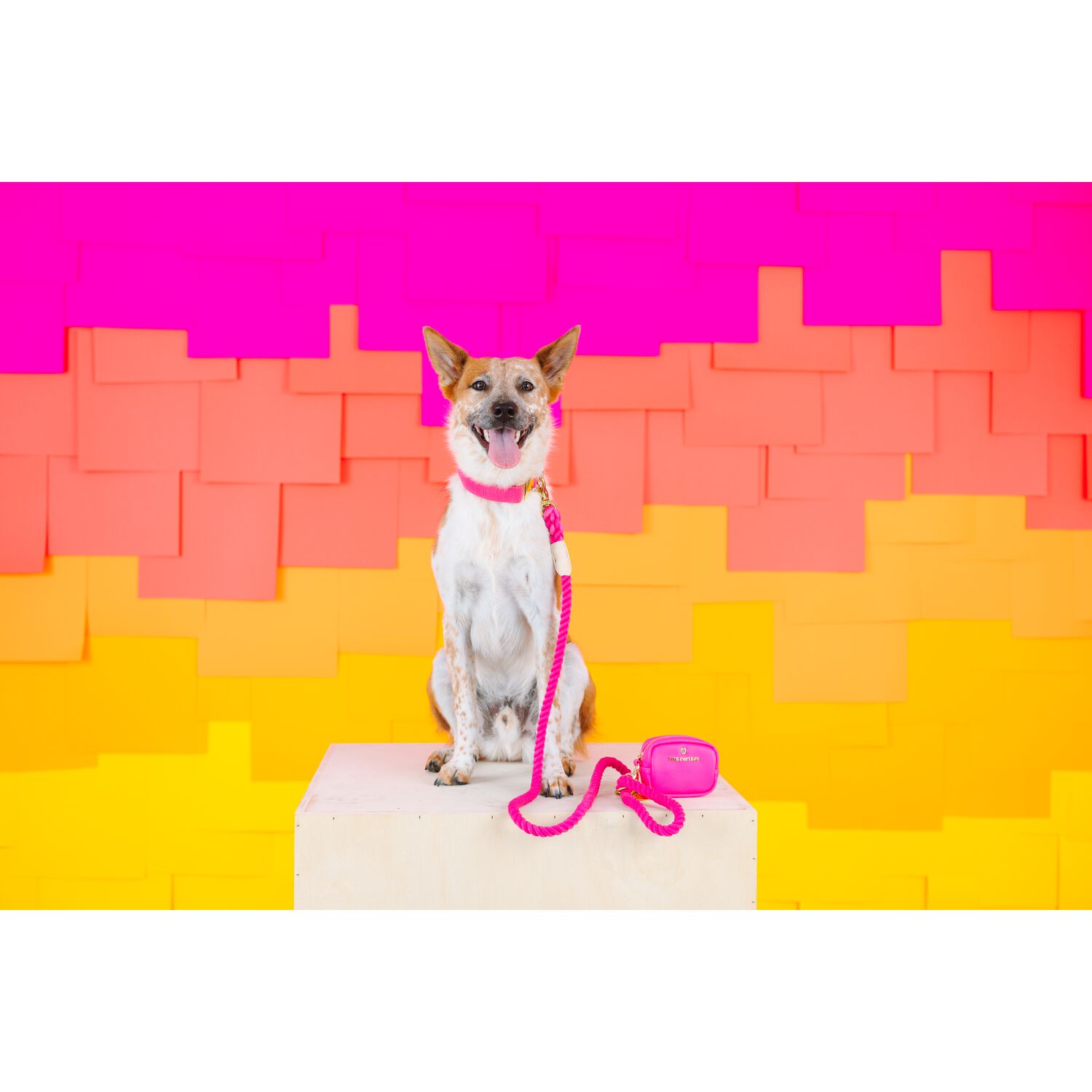 Pink Papyrus Cleo Dog Poop Bag Holder & Treat Pouch Leash Accessory, Pink