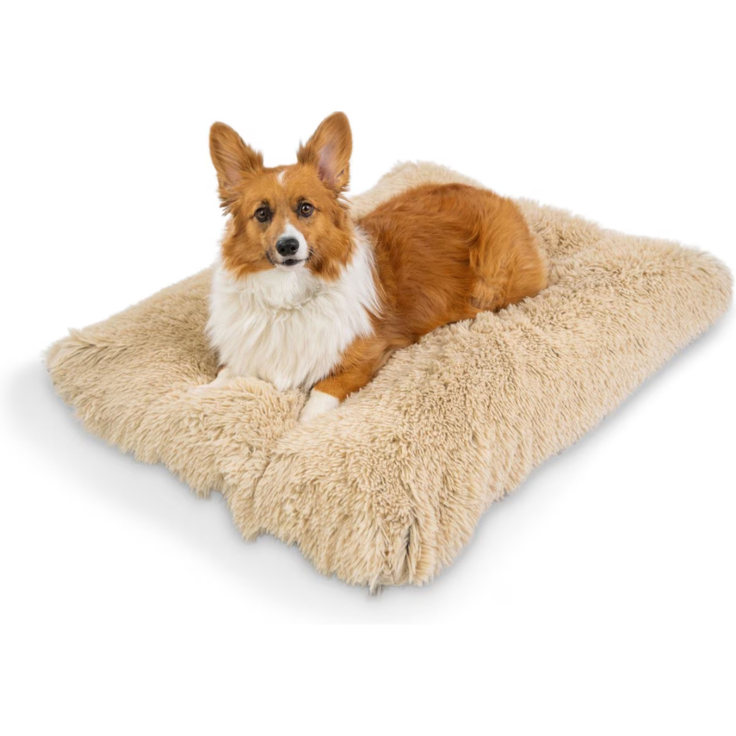 Dogs Beds Mats Pet Supermarket