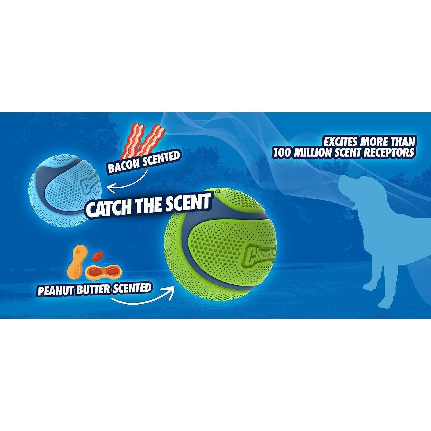 Chuckit! Sniff Fetch Ball Dog Toy– Bacon Scented Medium | Pet