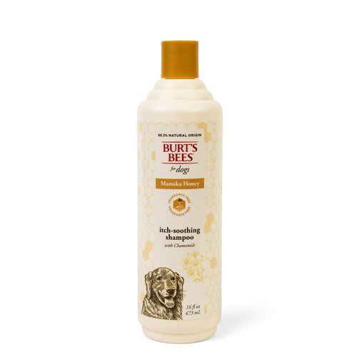 Burt’S Bees Manuka Honey Itch Soothing Dog Shampoo With Chamomile