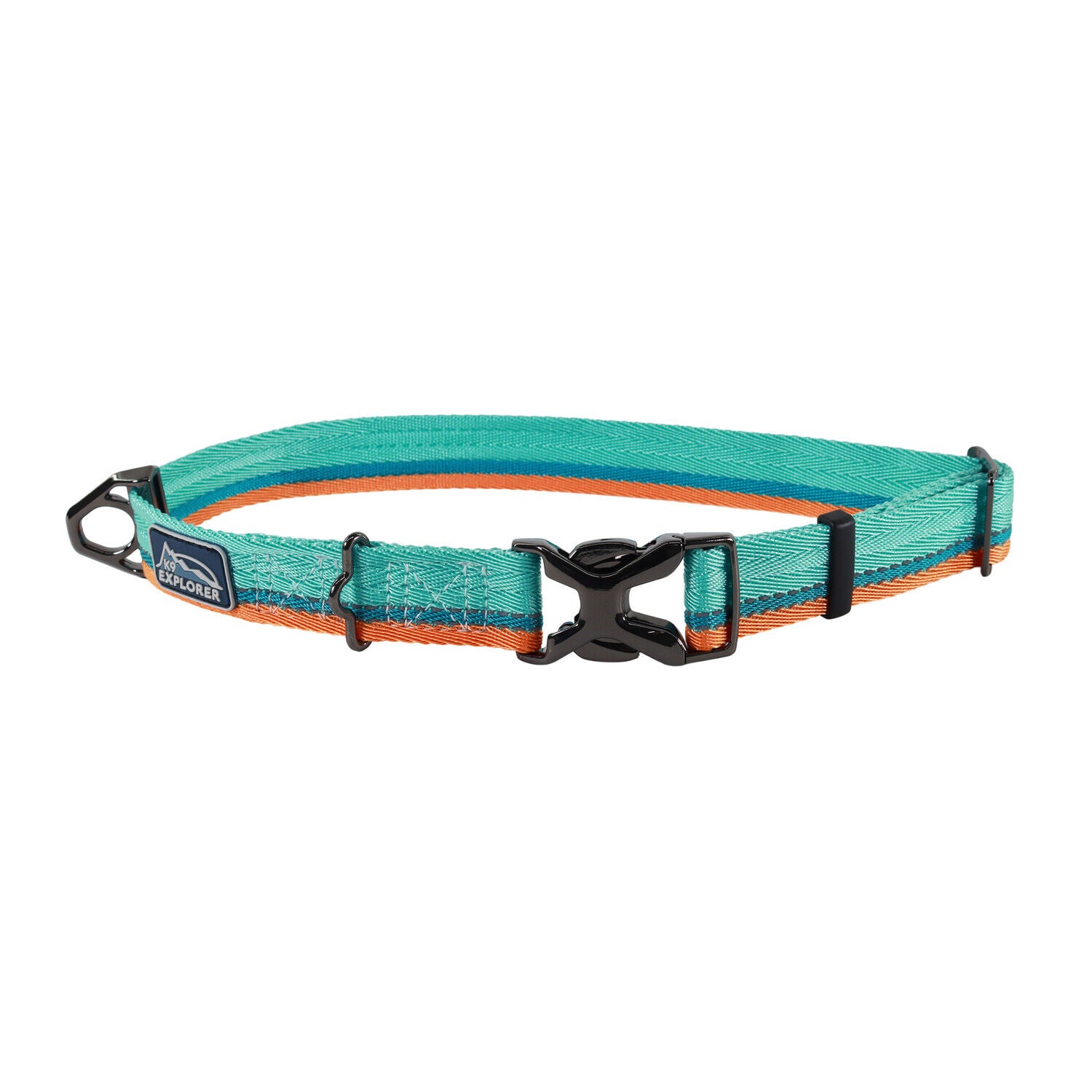 Coastal K9 Explorer&reg; Trek Adjustable Dog Collar, Everglades