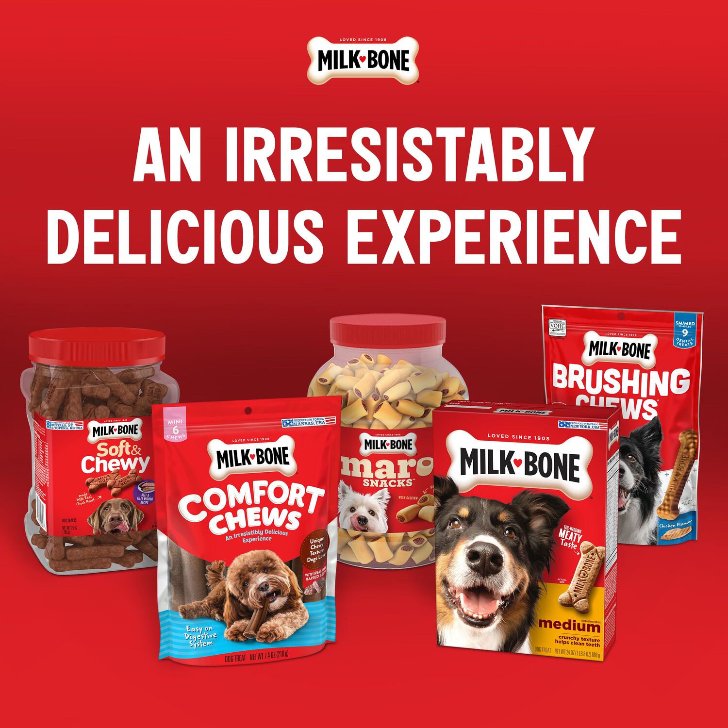 Milk-Bone Flavor Snacks Mini&rsquo;S Crunchy Biscuits Dog Treats, 36-Oz Canister