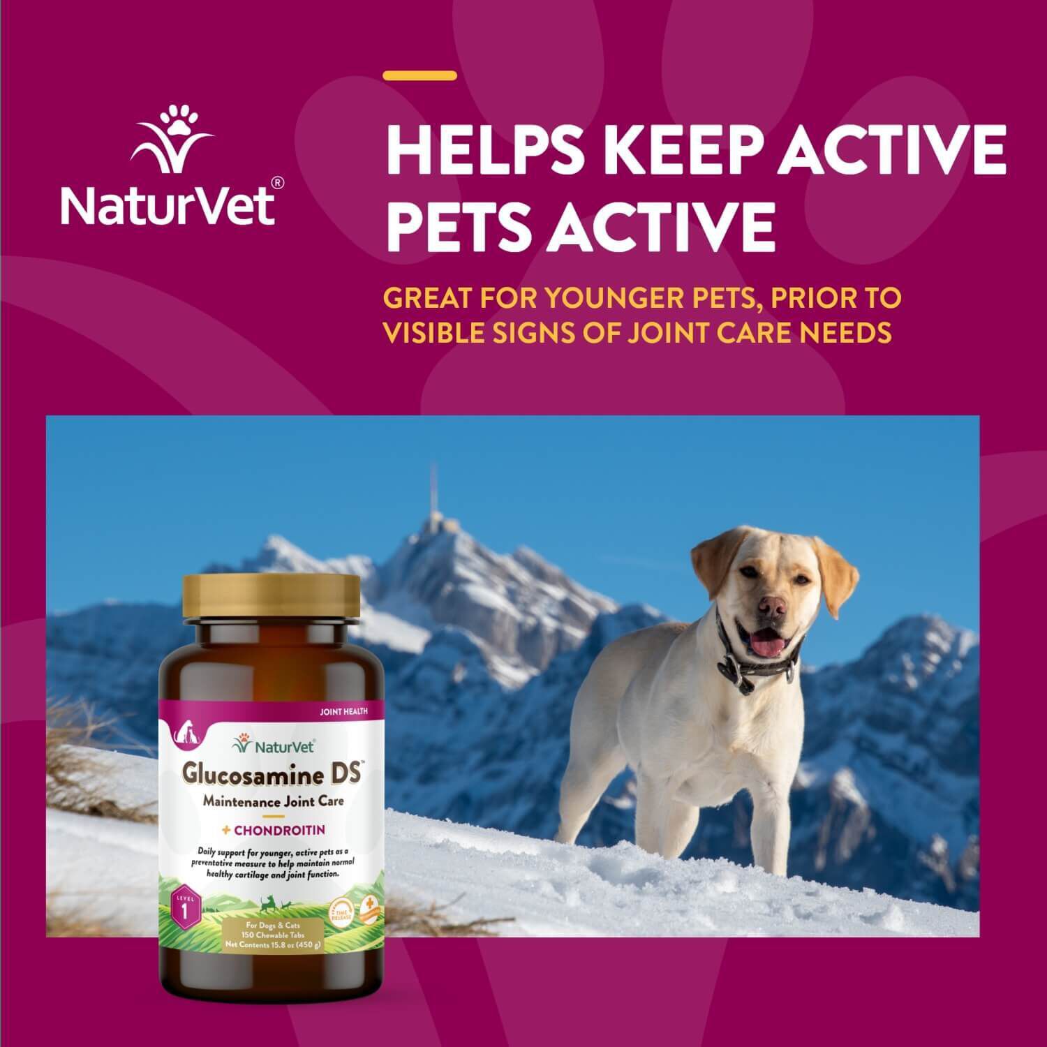 Naturvet Glucosamine Ds Level 1 Hip & Joint Maintenance Care Chewable Tabs For Dogs & Cats