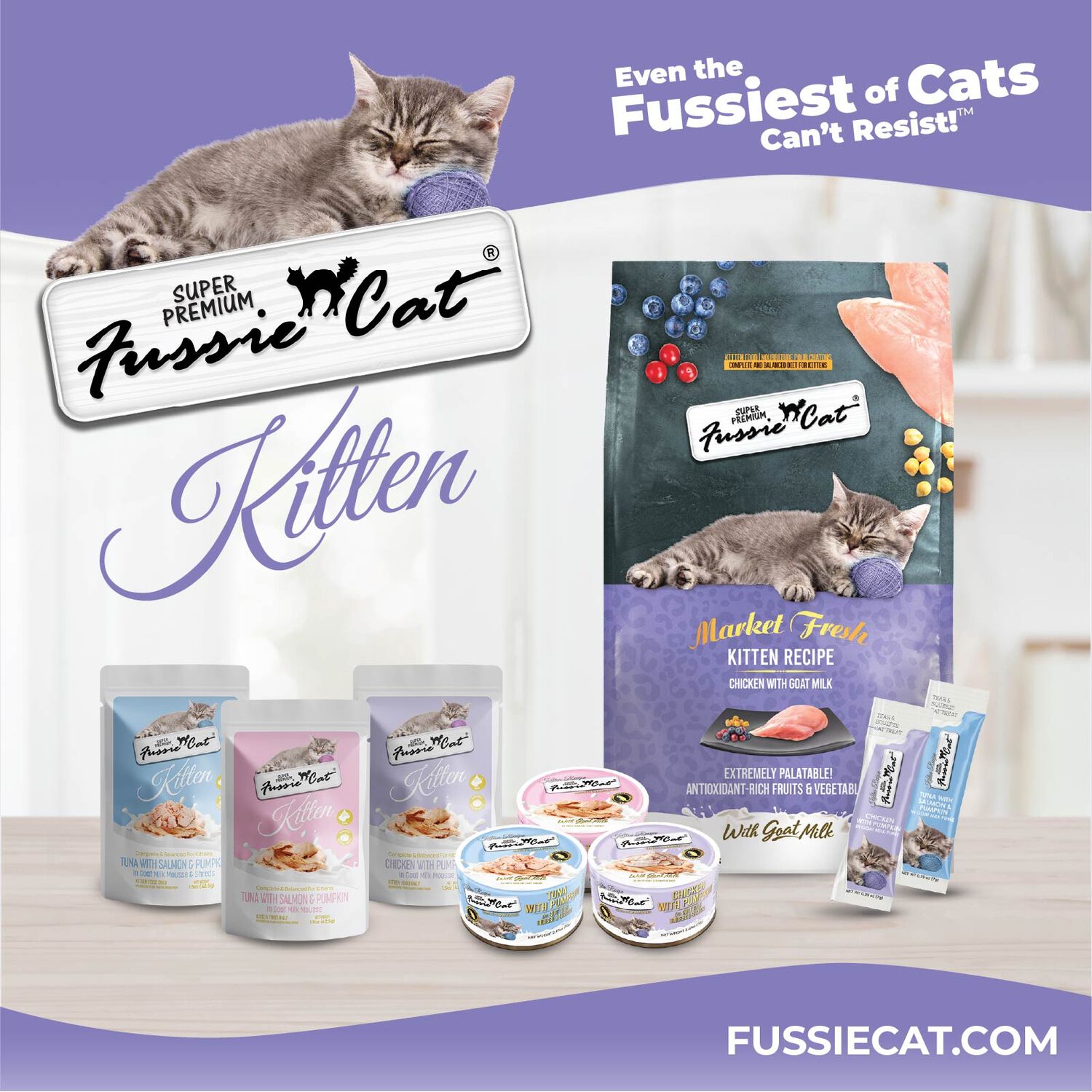 Fussie Cat Super Premium Chicken With Pumpkin In Goat Milk Mouse & Shreds Wet Cat Food For Kittens, 2.47-Oz Can