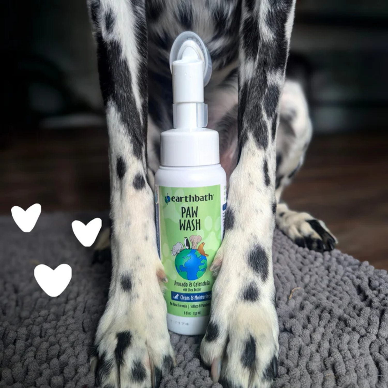Earthbath Cat & Dog Paw Wash, Avocado & Calendula With Shea Butter, 8-Oz Bottle
