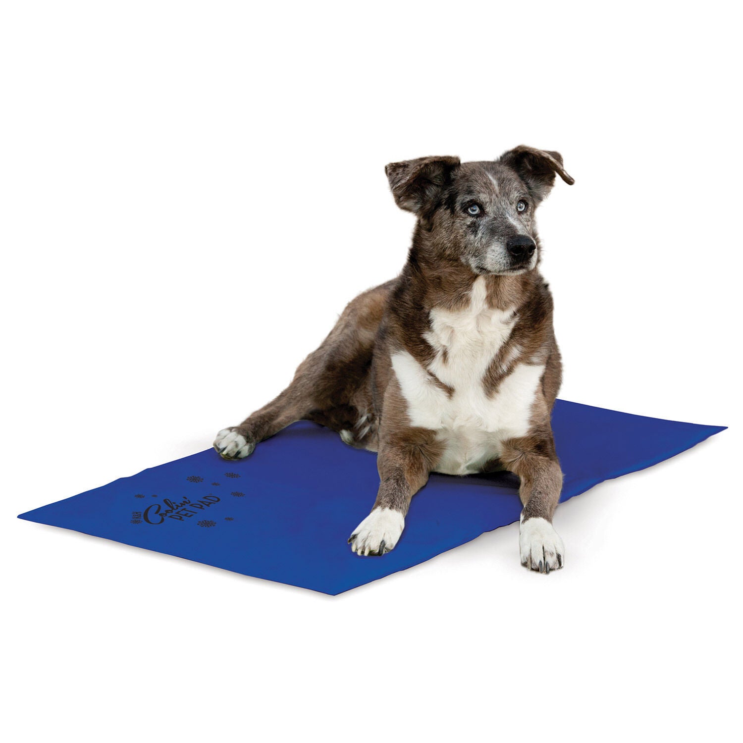 K&H Pet Products Coolin' Pet Pad Indoor Outdoor Cooling Dog Mat, Blue