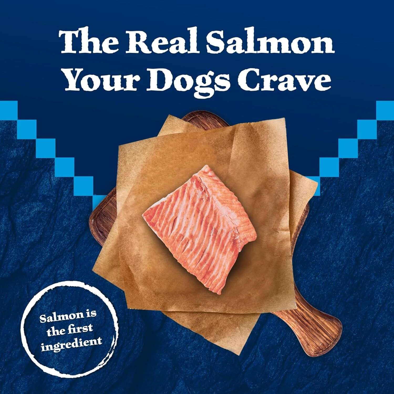 Blue Buffalo Wilderness Trail Treats Grain-Free Biscuits Salmon Recipe Dog Treats, 10-Oz
