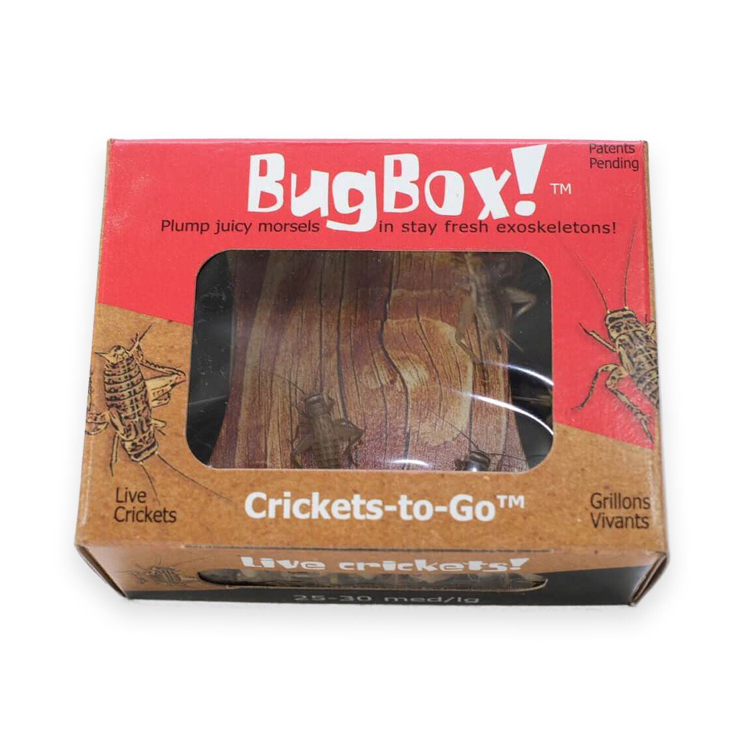 Pet Supermarket Live Bug Box, Large Crickets, 25 Count