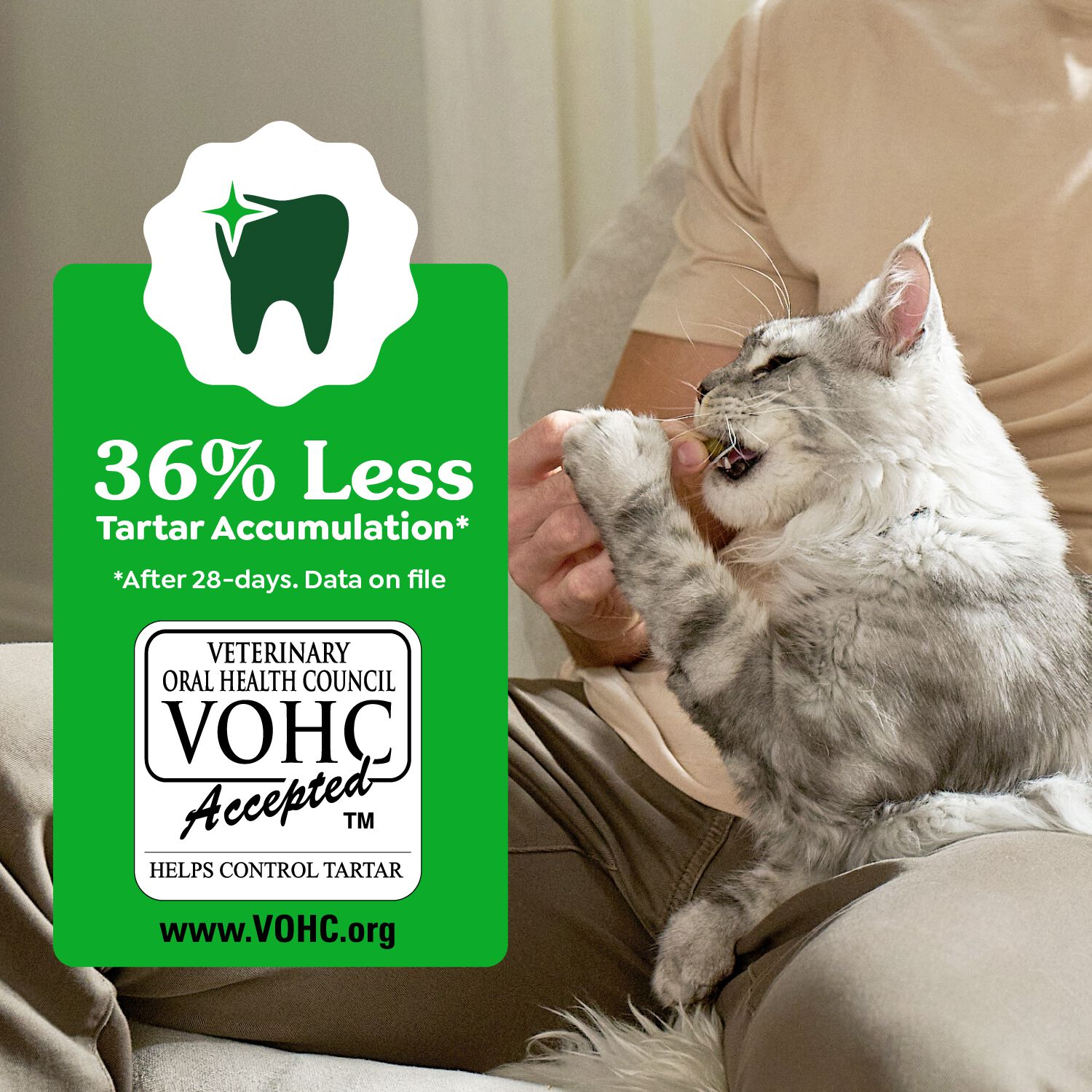 Greenies Feline Natural Oven Roasted Chicken Flavor Dental Cat Treats, 9.75-Oz