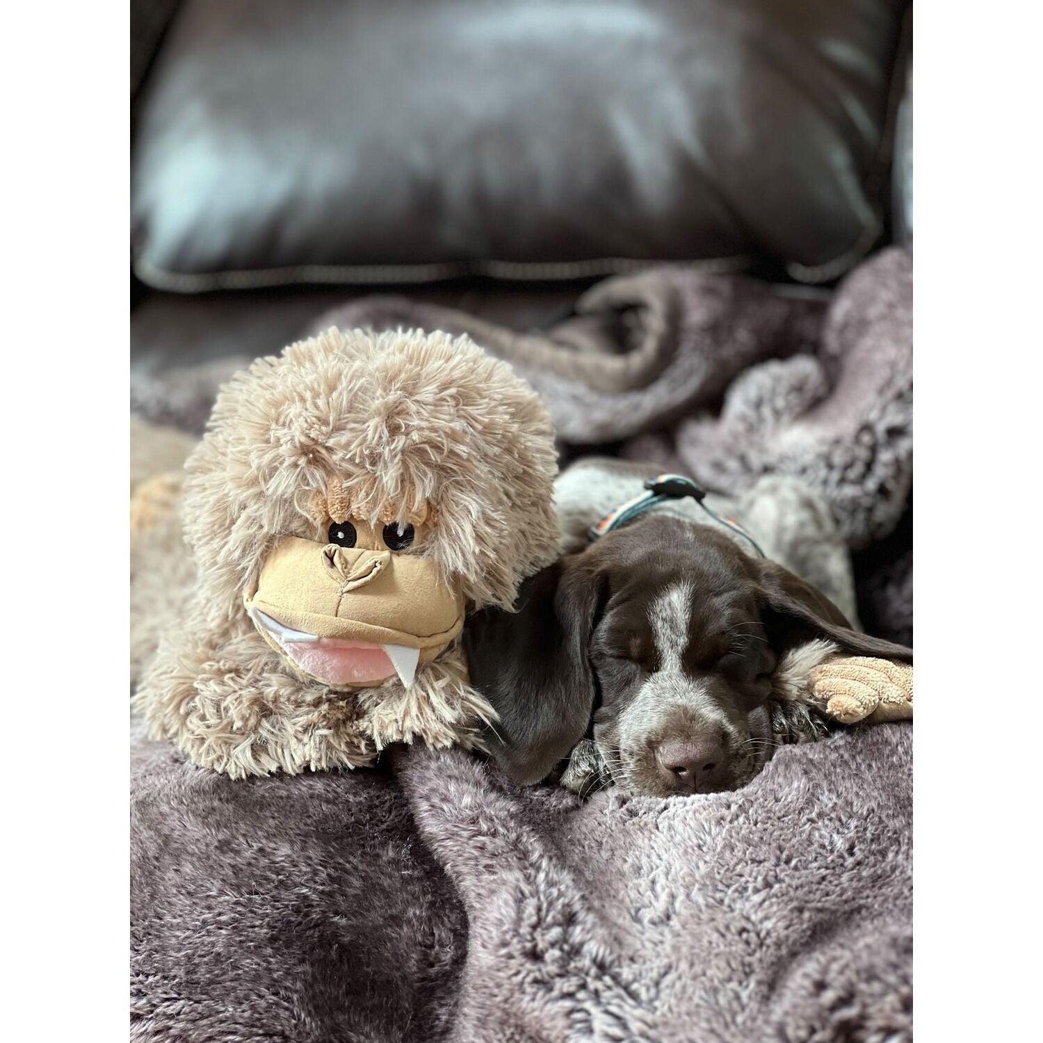 Tall Tails Stuffless Big Foot With Squeaker Plush Dog Toy, 20"