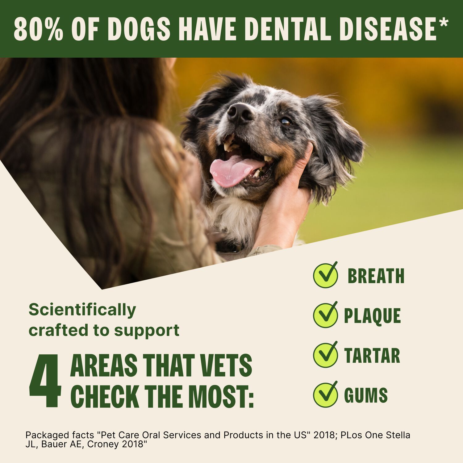 Whimzees Grain-Free Alligator Dental Treats, For Large Dogs 40-60 Lbs, 6-Ct