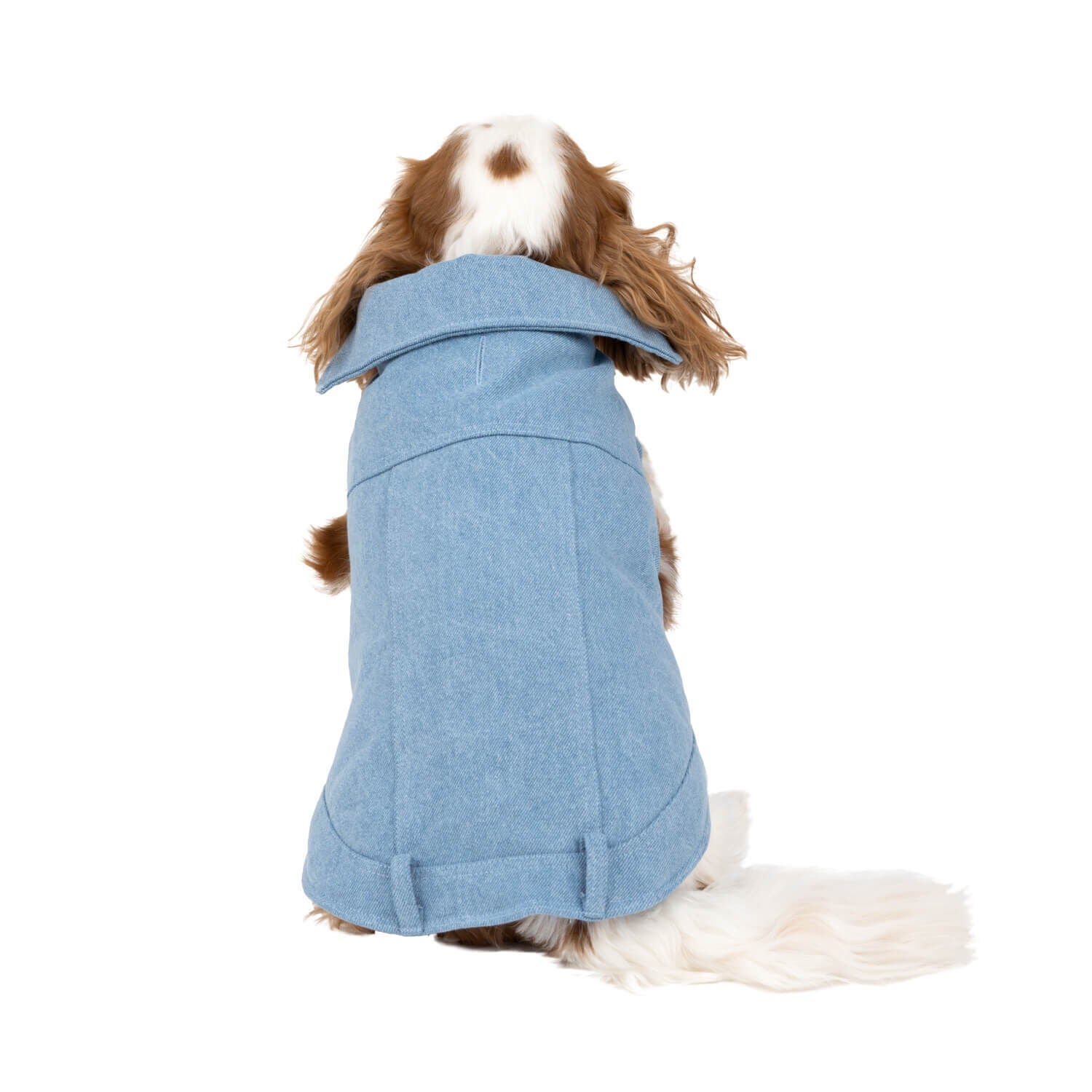Simply dog jacket outlet