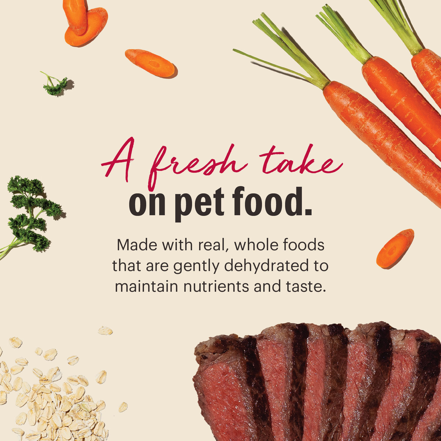 The Honest Kitchen Wholemade Whole Grain Beef & Oat Recipe Dehydrated Dog Food, 1.5-Oz Pack Of 10