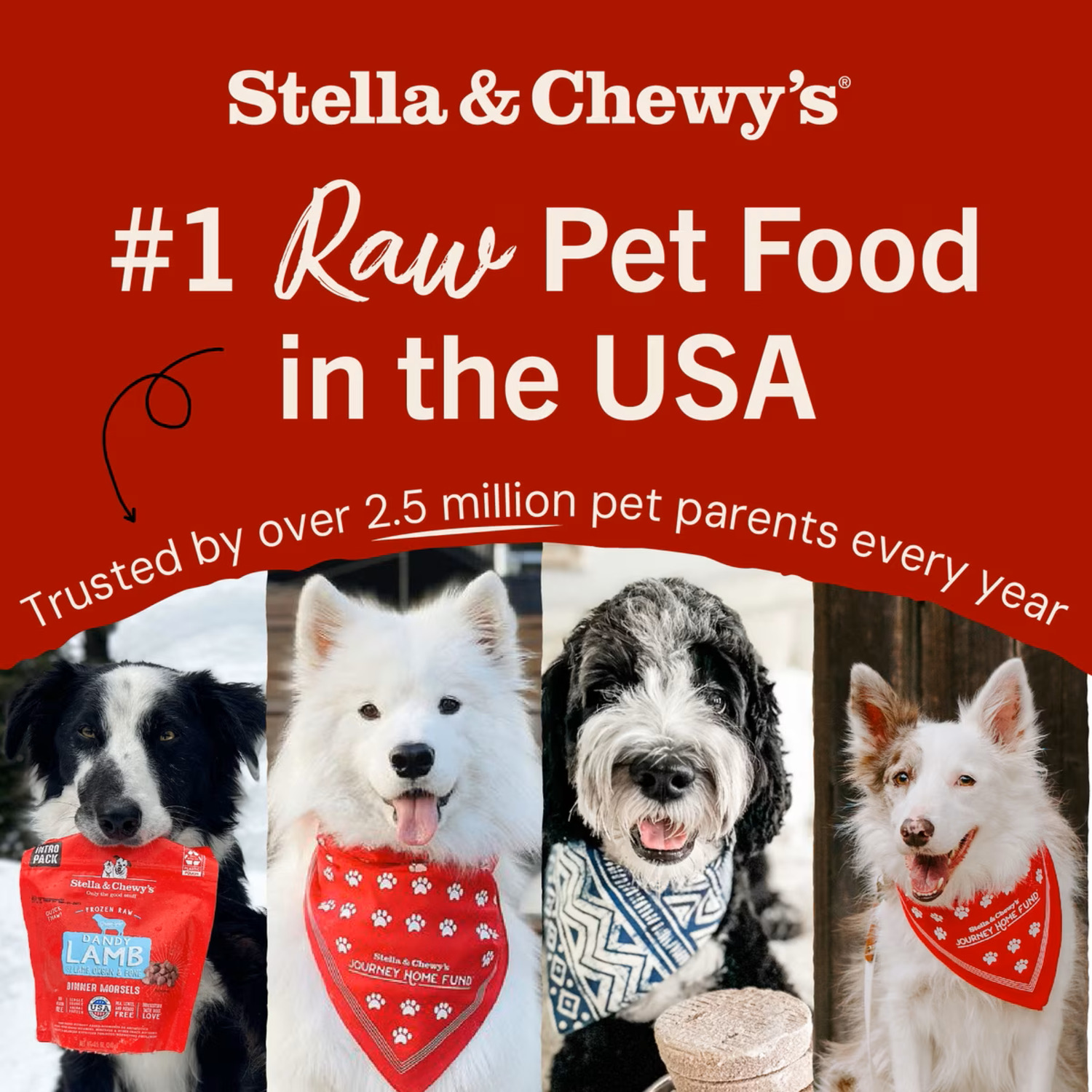 Stella & Chewy's Freeze-Dried Raw Chewy's Meal Mixers Dog Food Topper, Chewy's Chicken Recipe, 18-Oz