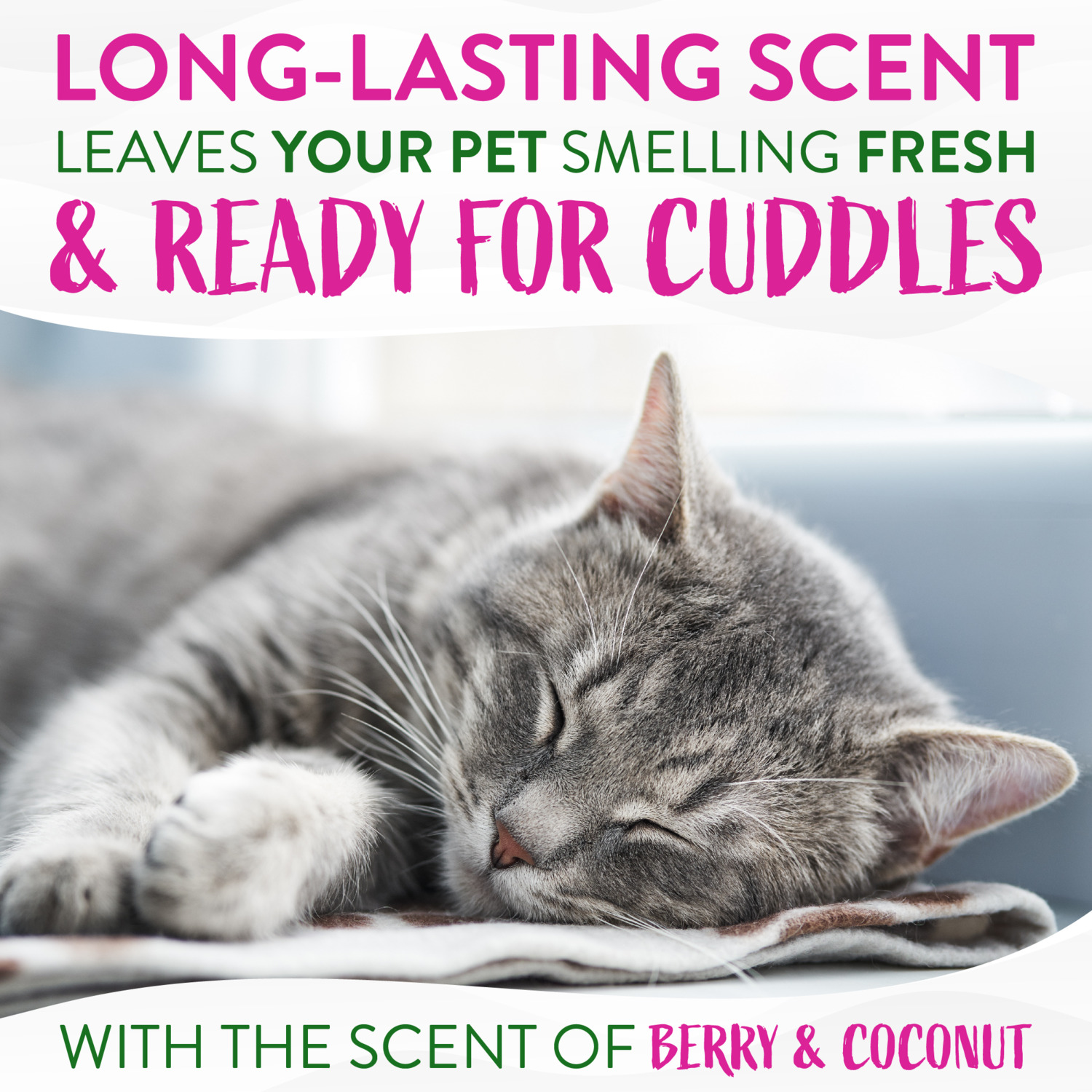 Tropiclean Deep Cleansing Waterless Cat Shampoo, Berry & Coconut Scent, 7.4Oz