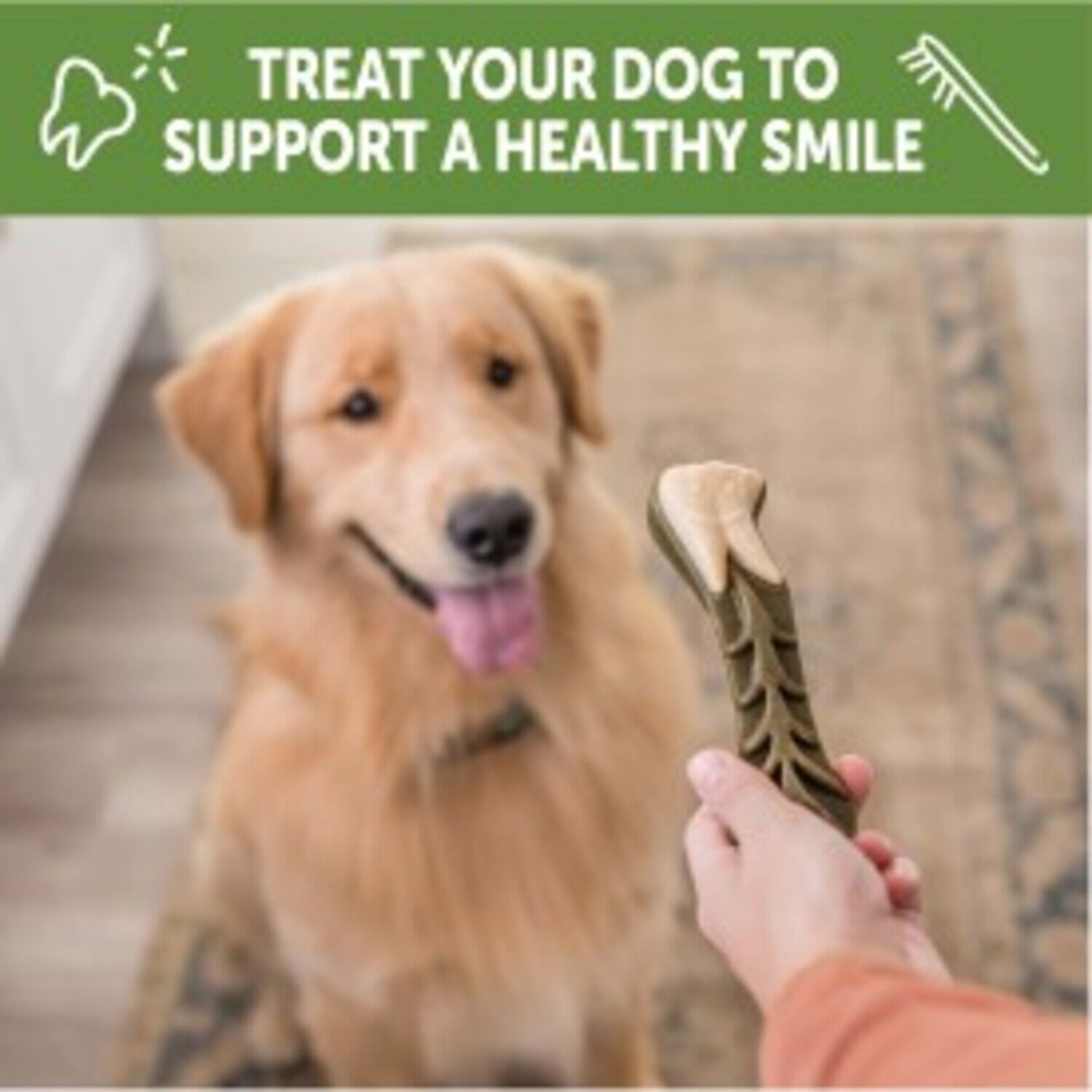 Whimzees Brushzees Natural Grain Free Dental Chews For Dogs, Large Breed, 6 Count