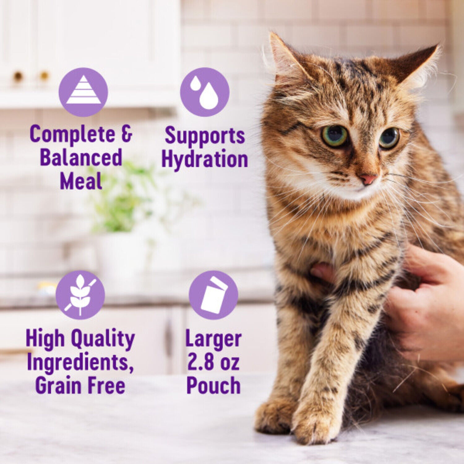 Wellness Appetizing Entr&eacute;es Flaked Adult Wet Cat Food, Natural, Protein-Rich, Grain-Free, 2.8-Ounce Pouch, Tuna & Cod Recipe