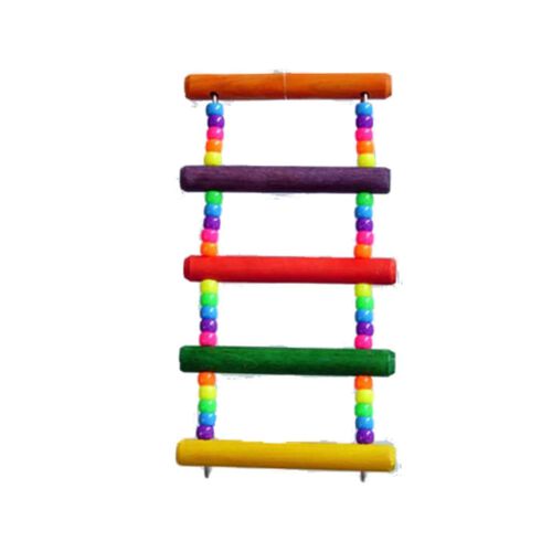 Zoo Max Pony Beads Ladder Bird Toy