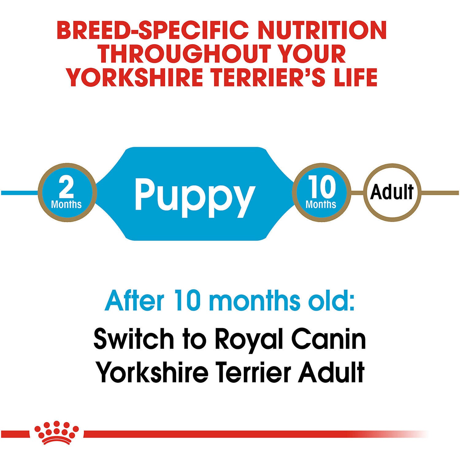Royal canin yorkshire terrier adult dry dog food on sale