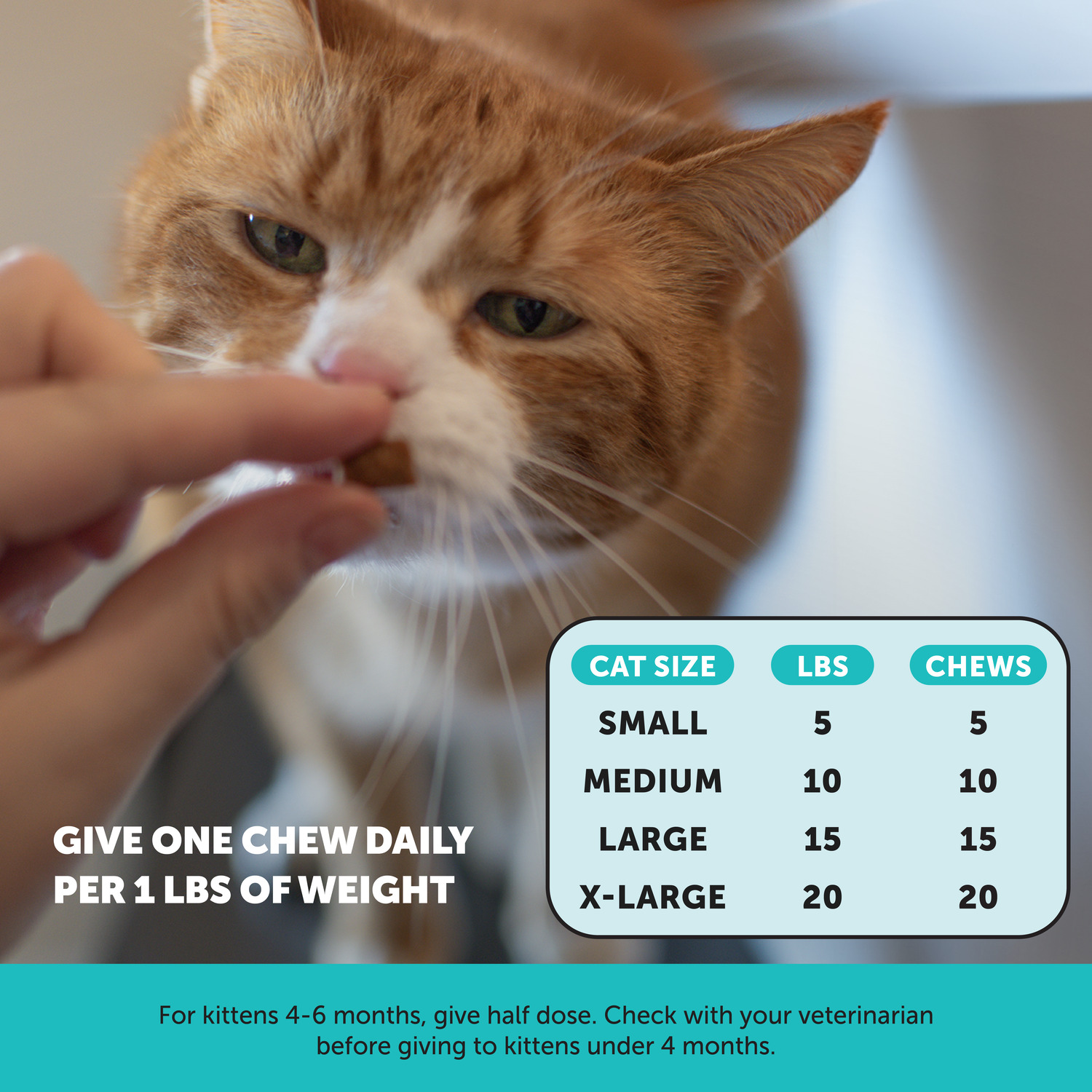 Pet Honesty Calming Chews Anxiety Relief & Behavioral Support Cat Supplement, Chicken Flavored, 30-Day Supply