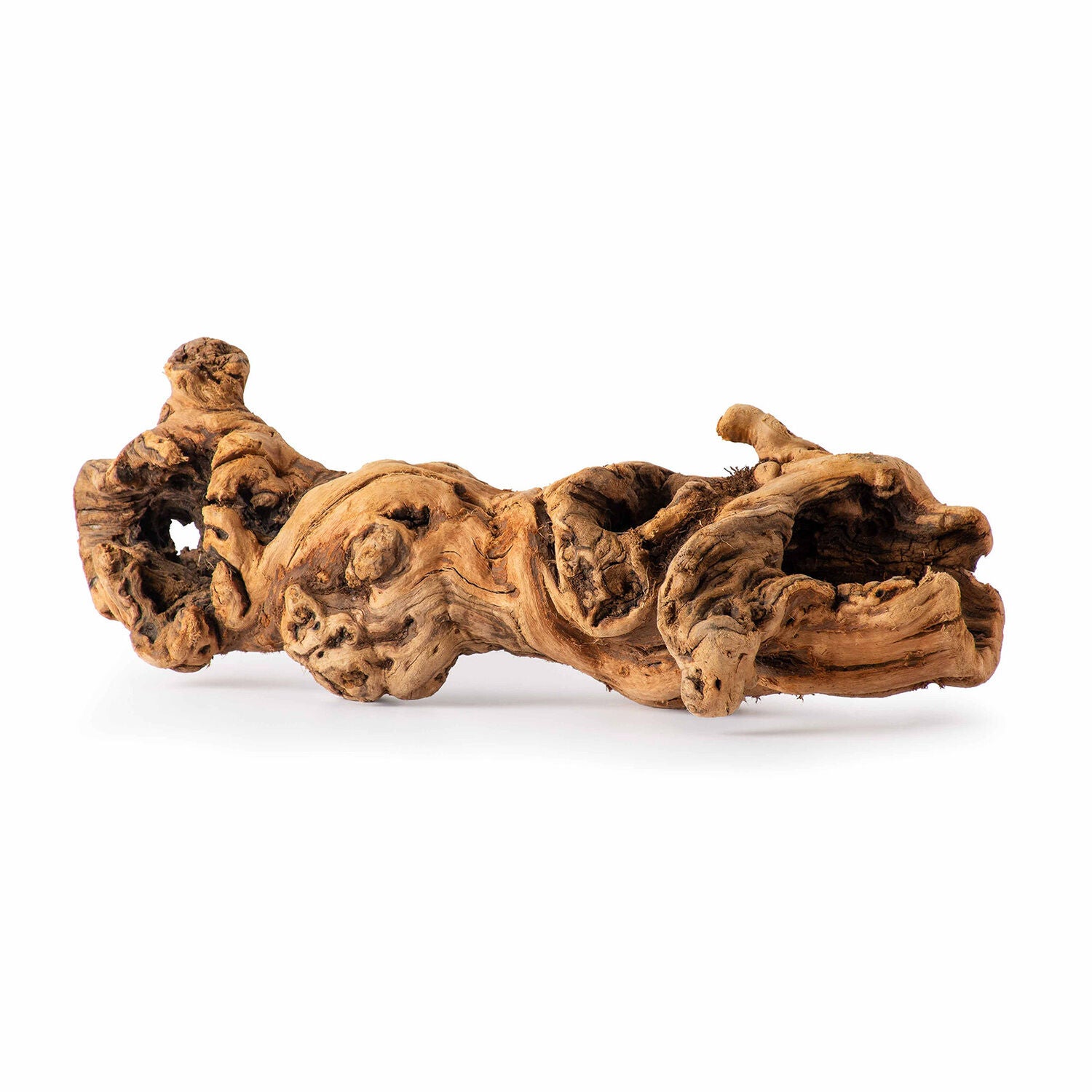 Gal&aacute;pagos Burro Wood, Grapevine Hollow Branch, Natural, 19-24In