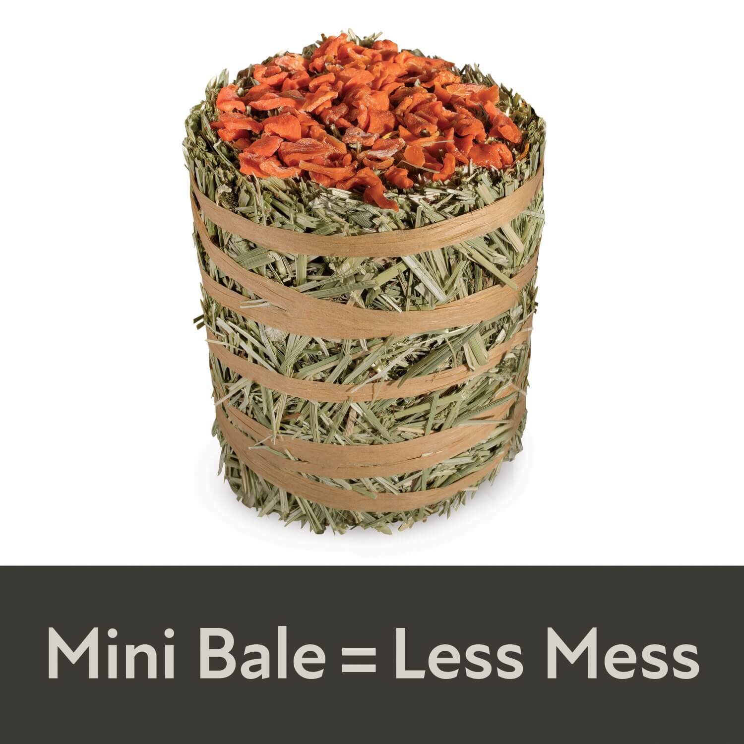 Field+Forest By Kaytee Mini Hay Bale, Carrot